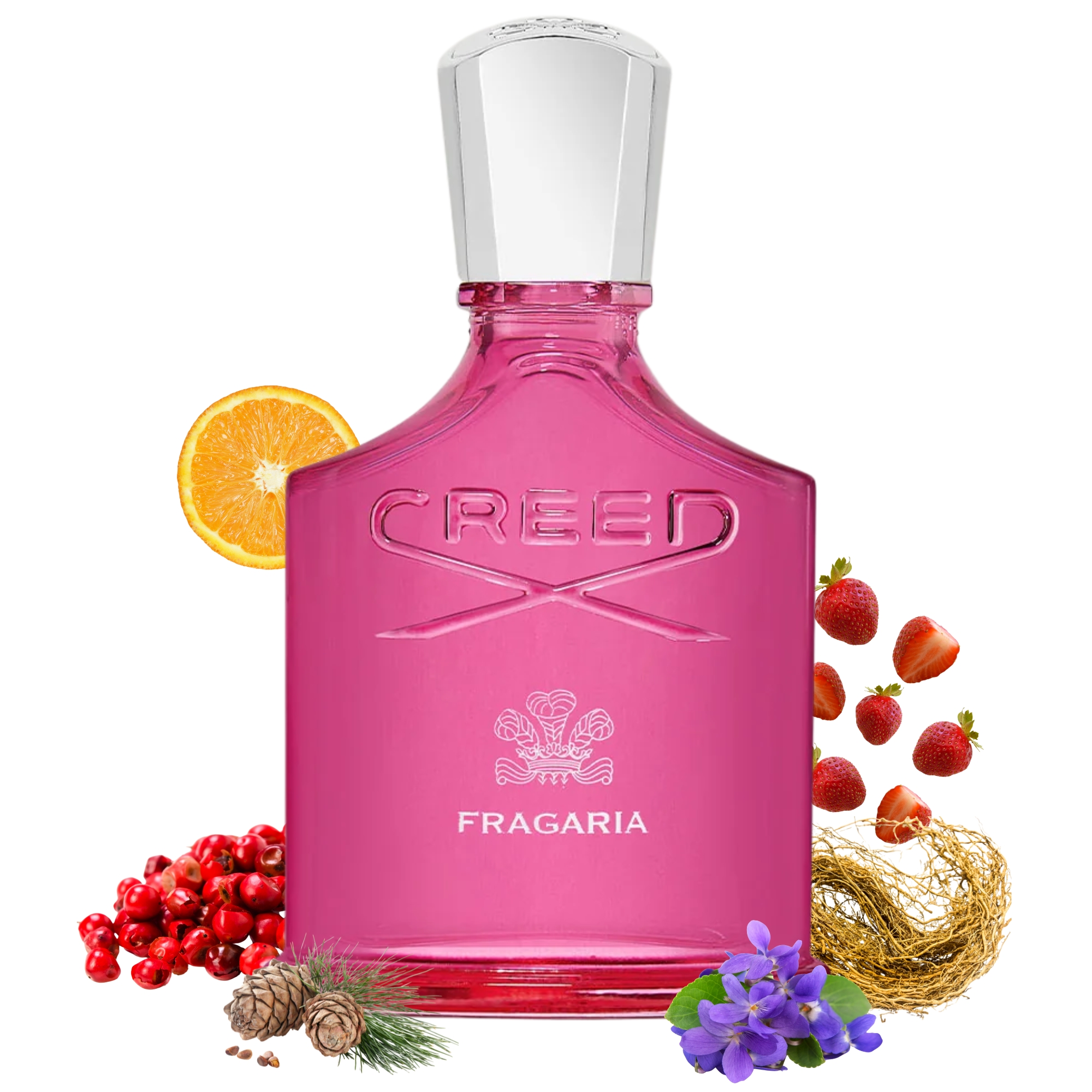 Fragaria