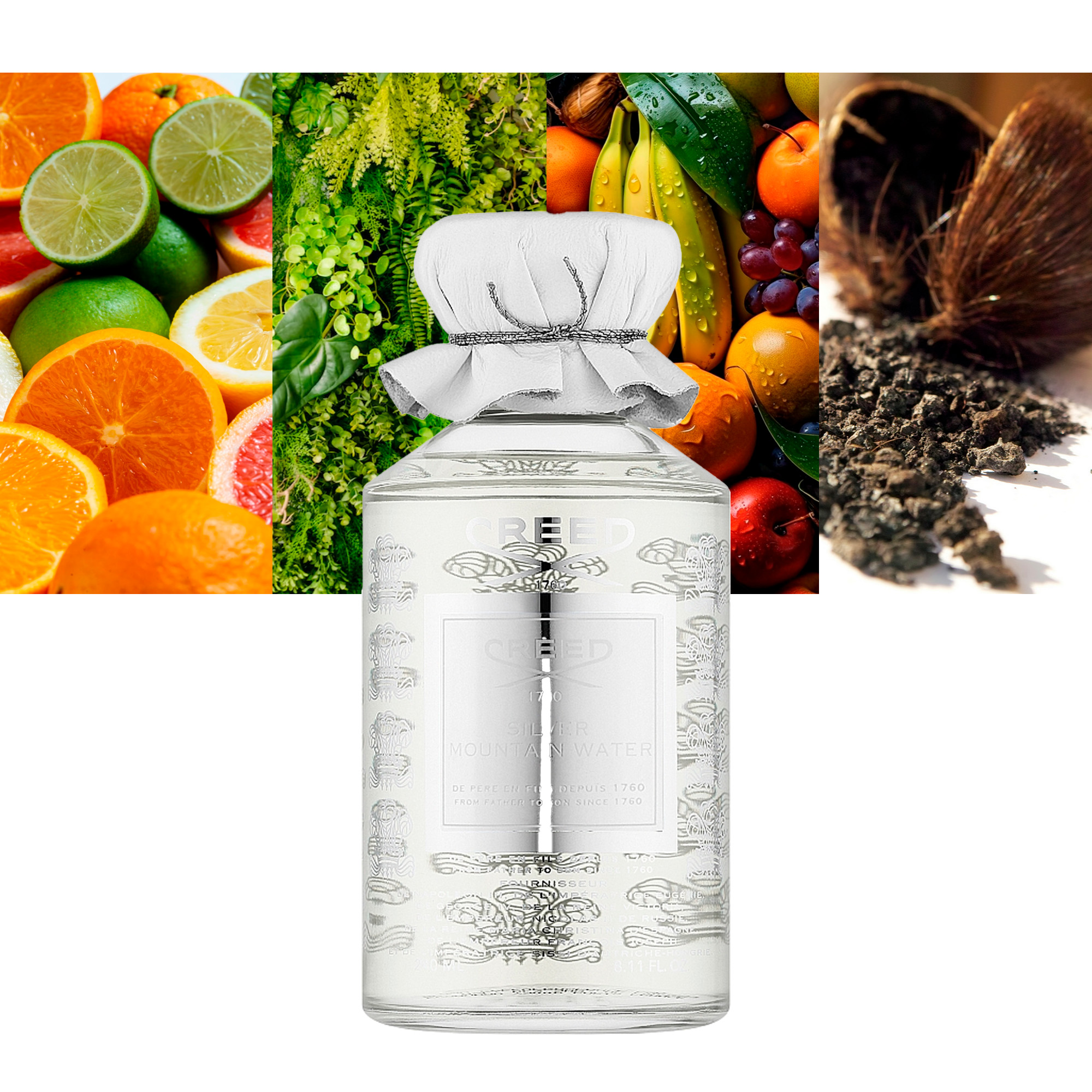 Silver Mountain Water 