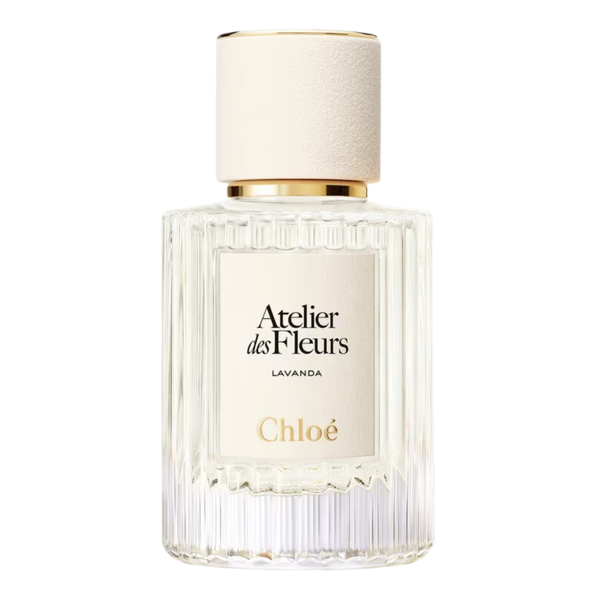 Chloe Atelier des Fleurs Lavanda