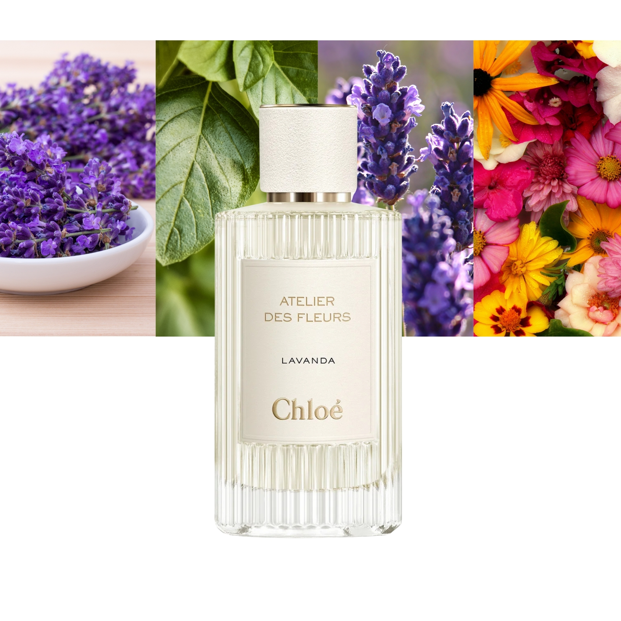 Atelier des Fleurs Lavanda