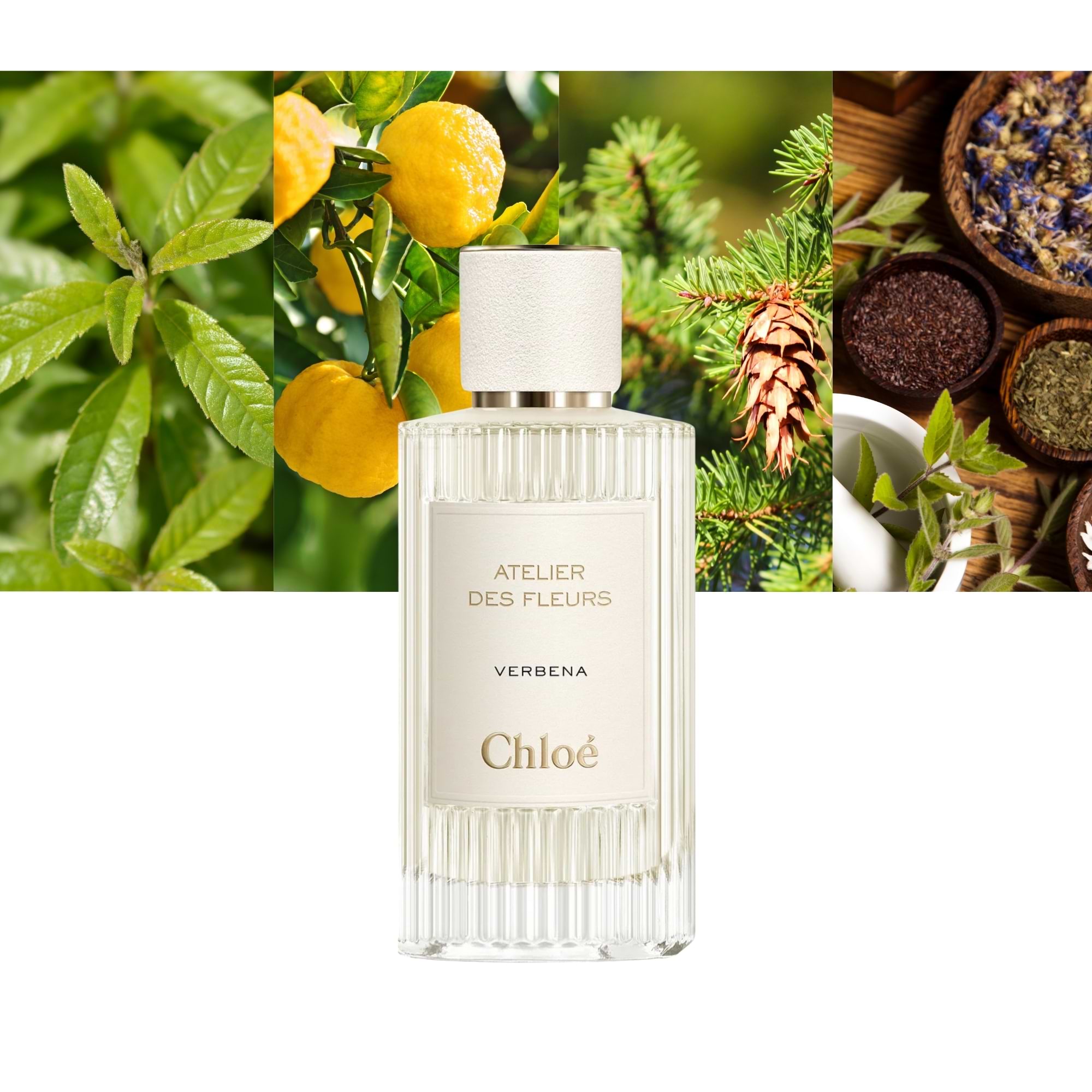 Chloe Atelier Des Fleurs Verbena - Main Image