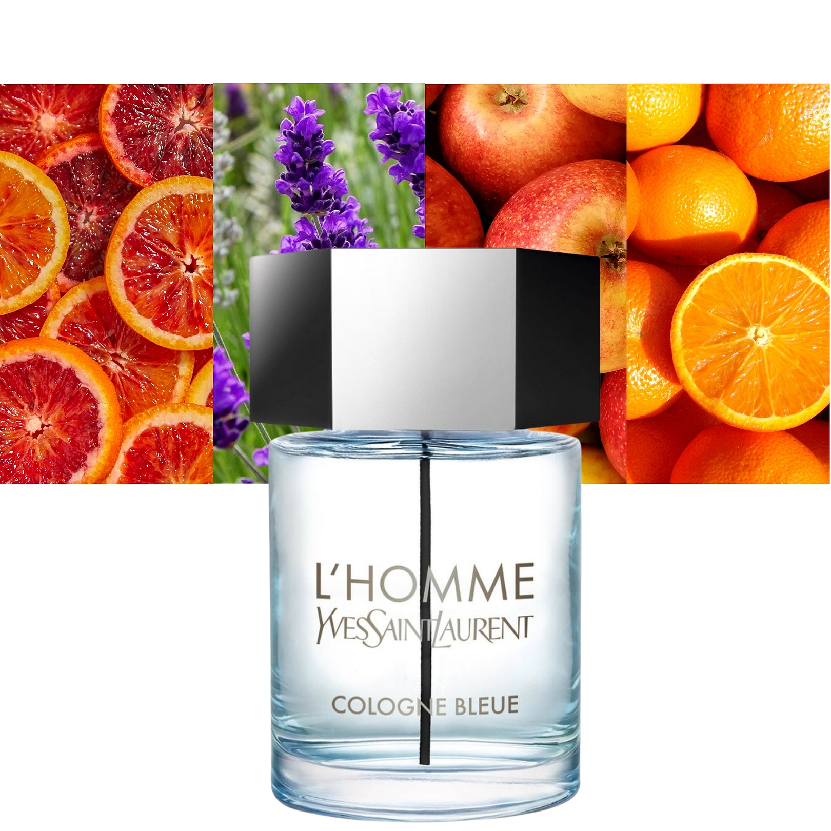 L'Homme Cologne Bleue 