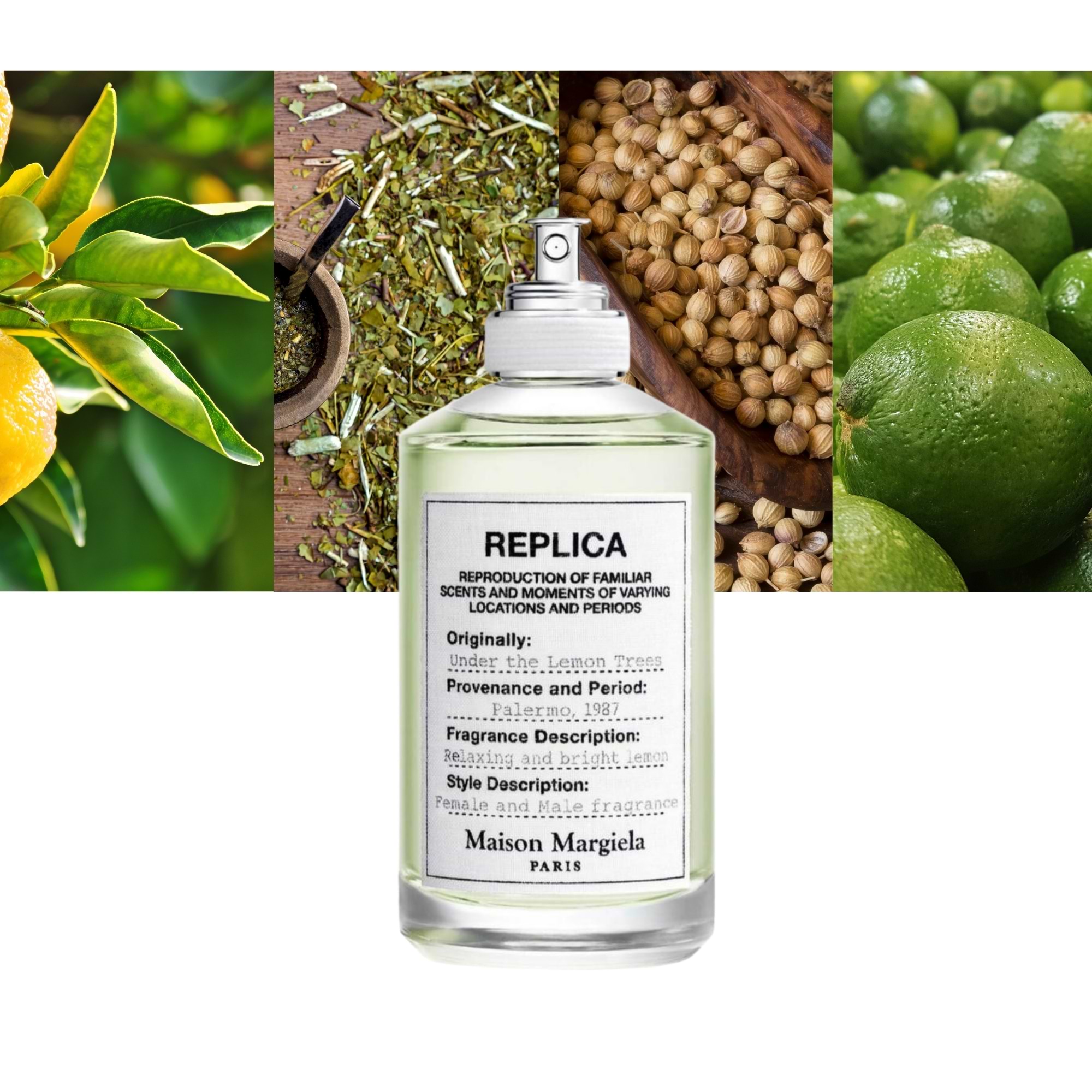 Maison Martin Margiela Replica Under the Lemon Trees