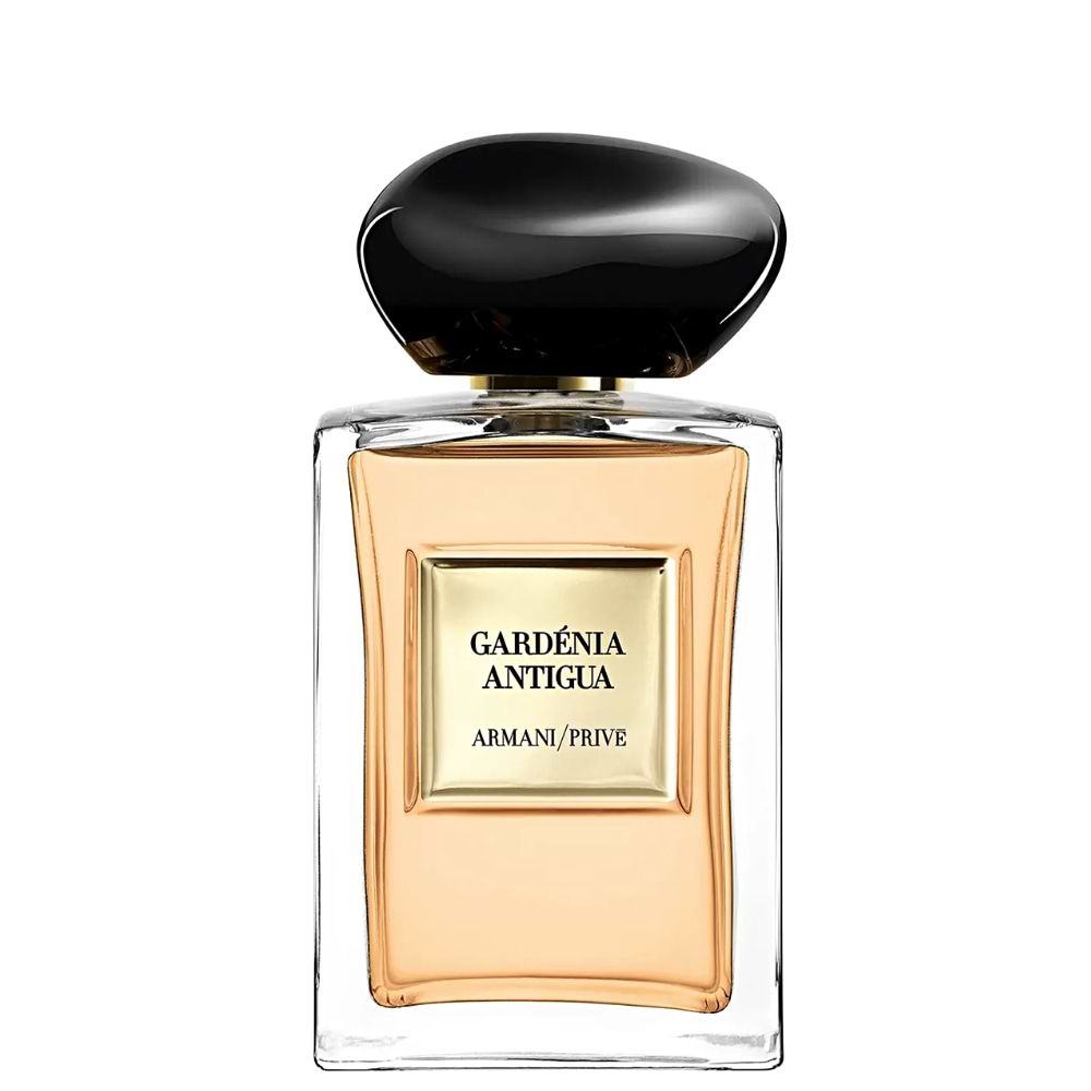 Gardenia Antigua