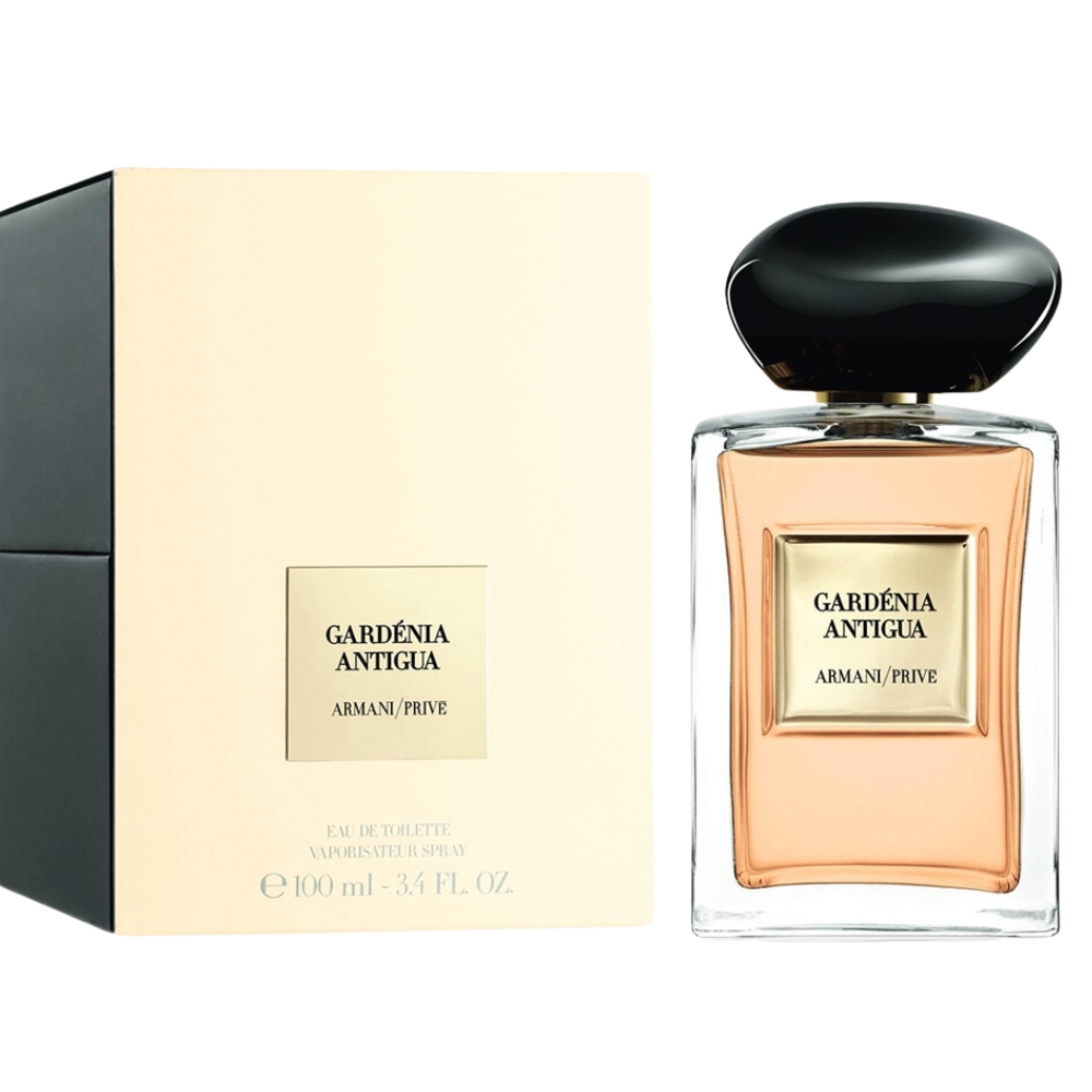 Gardenia Antigua