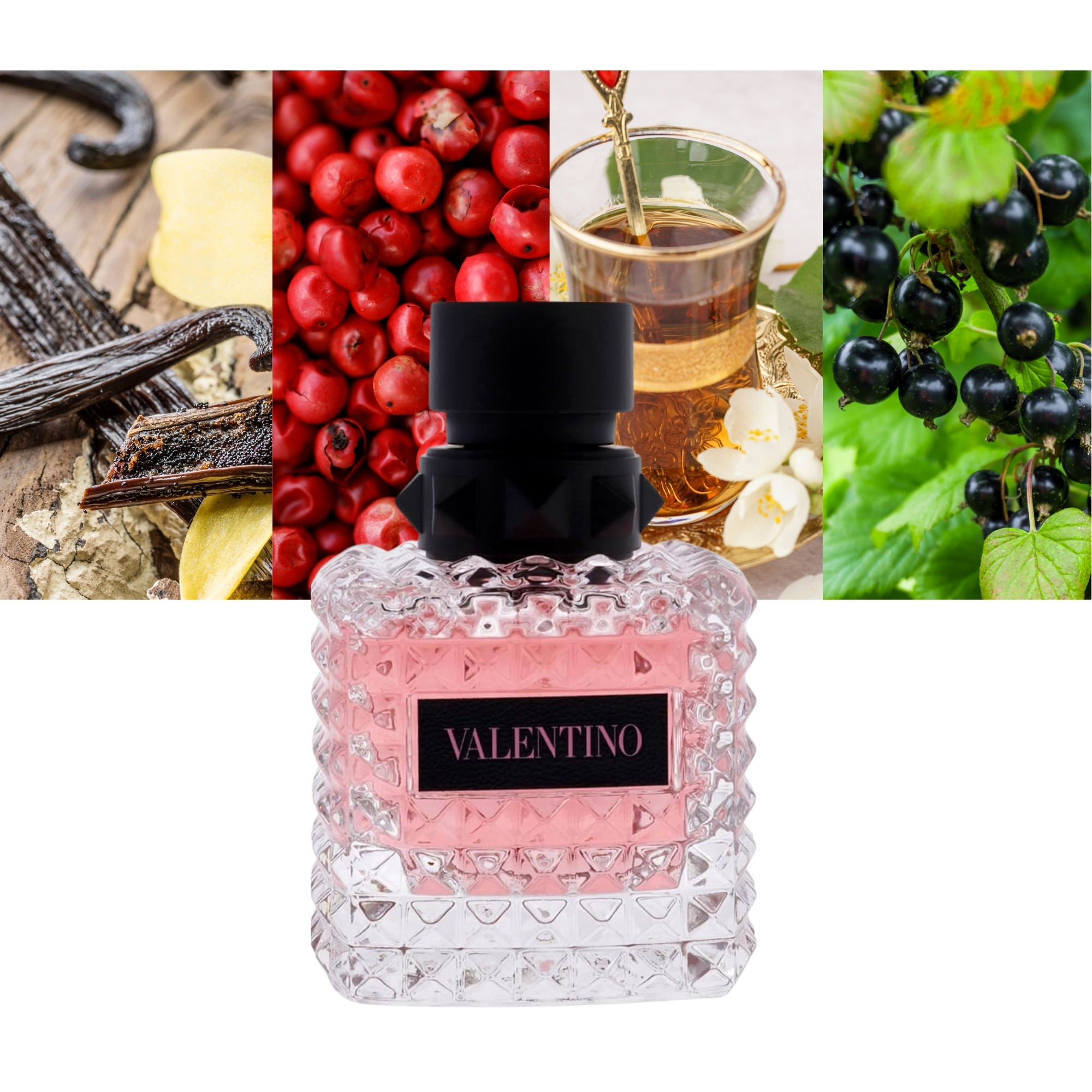 Valentino Donna Born In Roma 