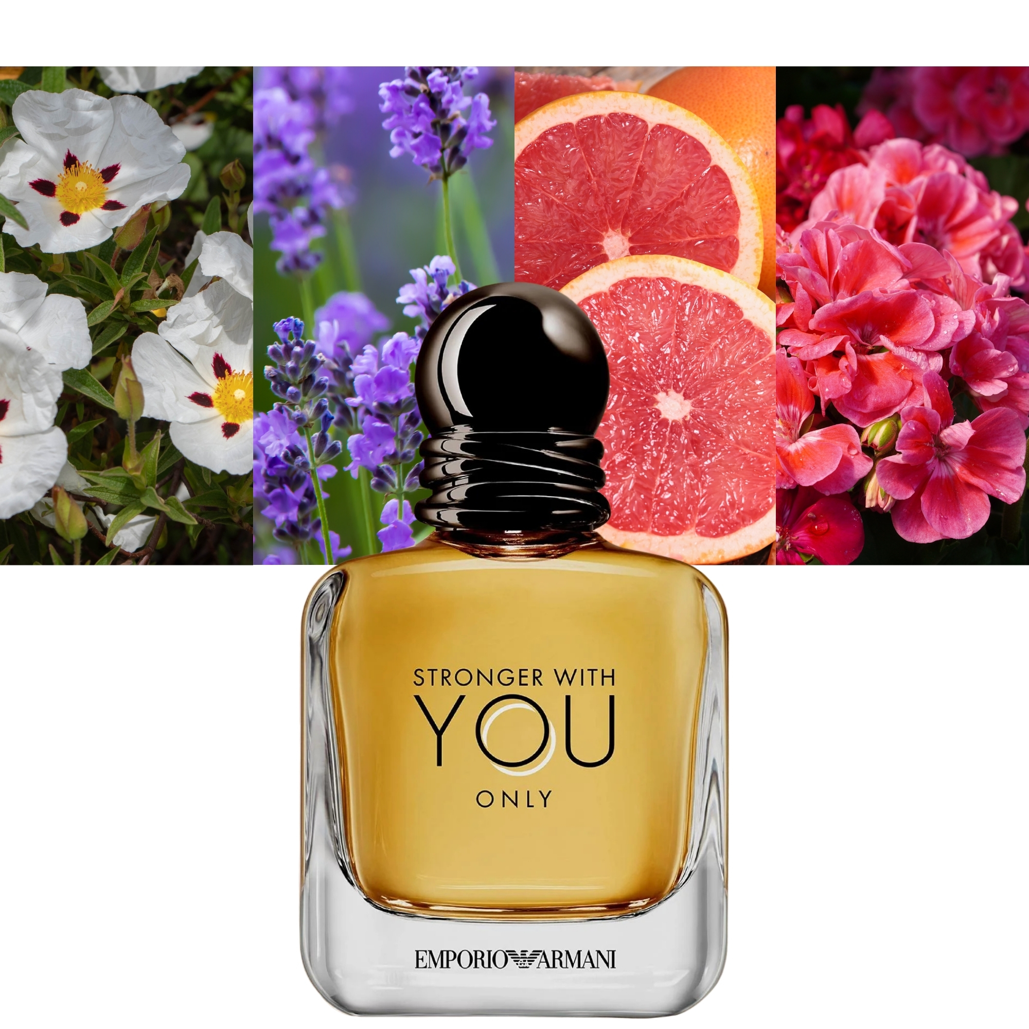 Stronger With You Only