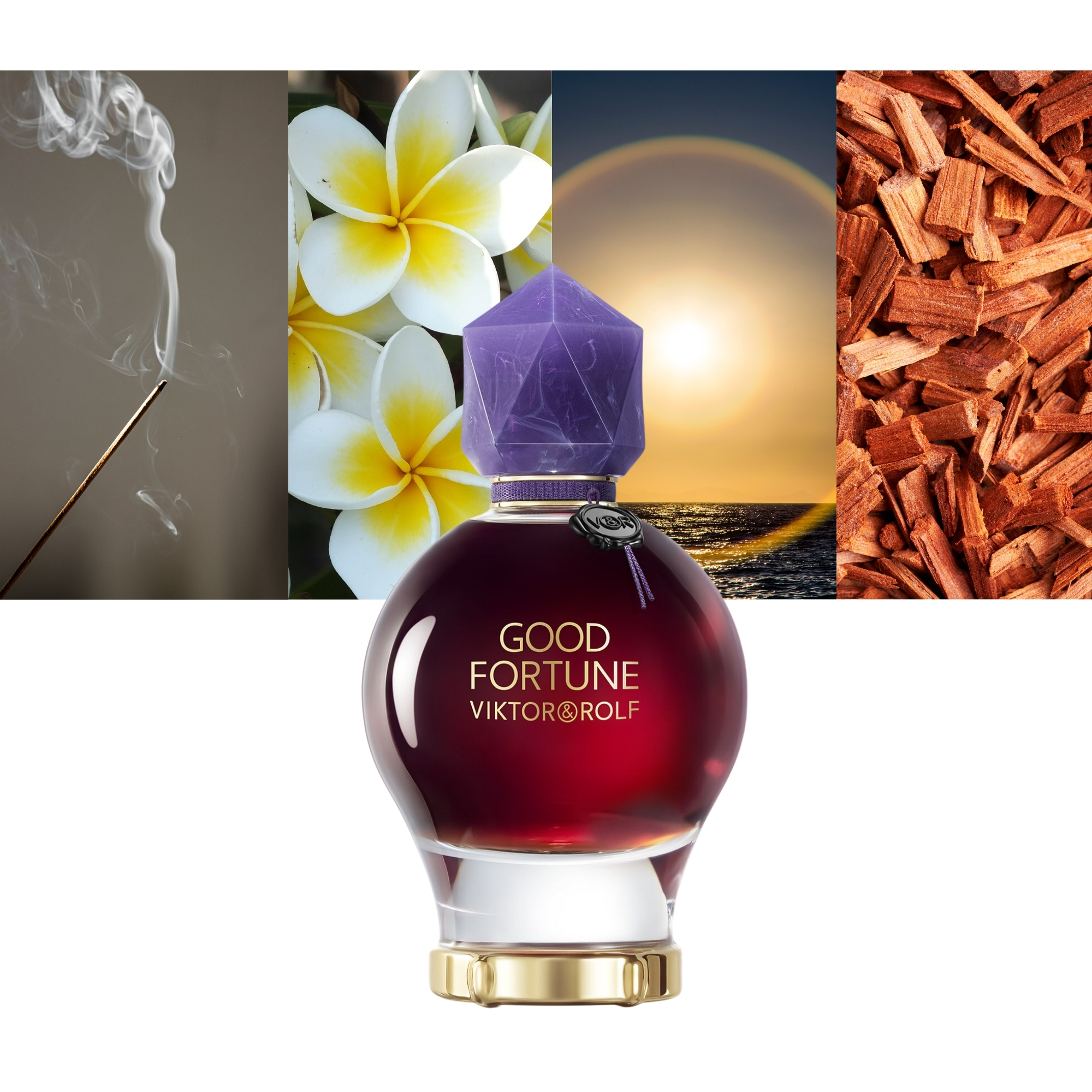 Good Fortune Elixir Intense