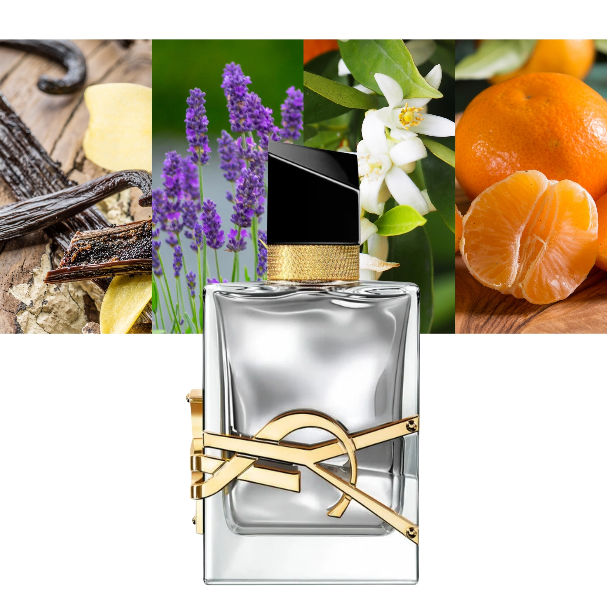 Libre L Absolu Platine