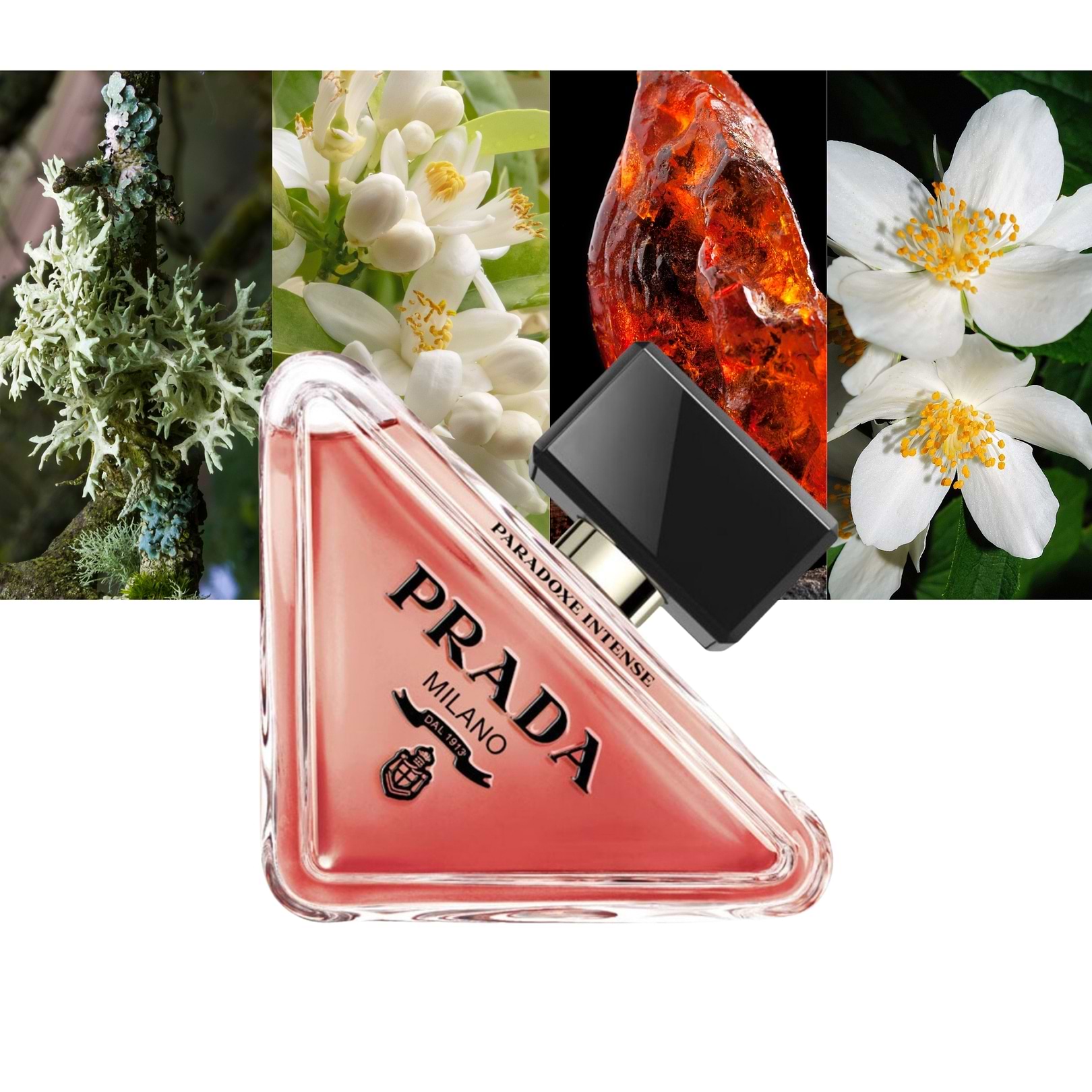 Experience the Magnetic Power of Prada Paradoxe Intense