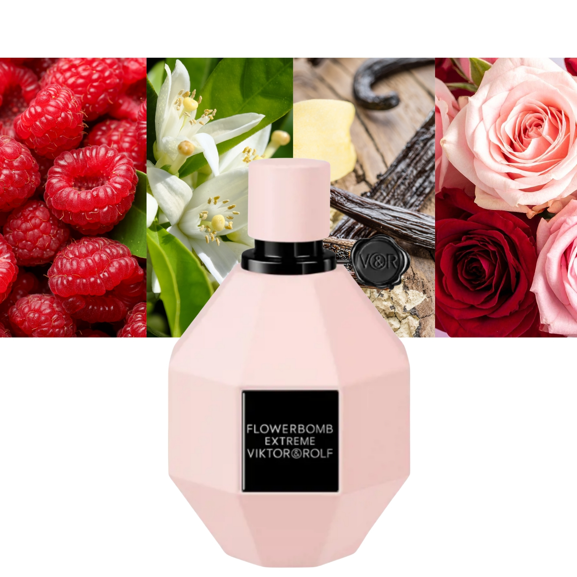 Flowerbomb Extreme