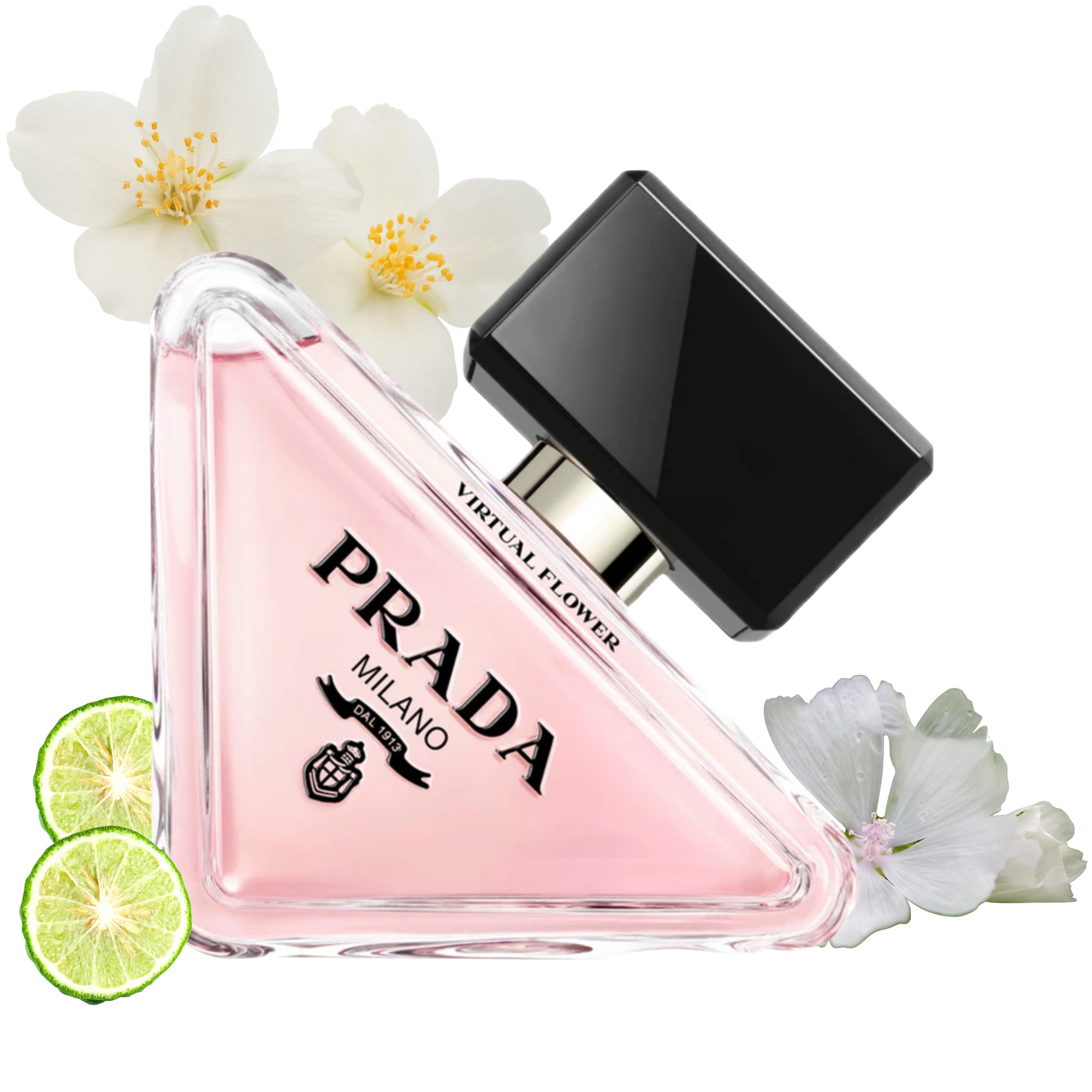 Paradoxe Virtual Flower