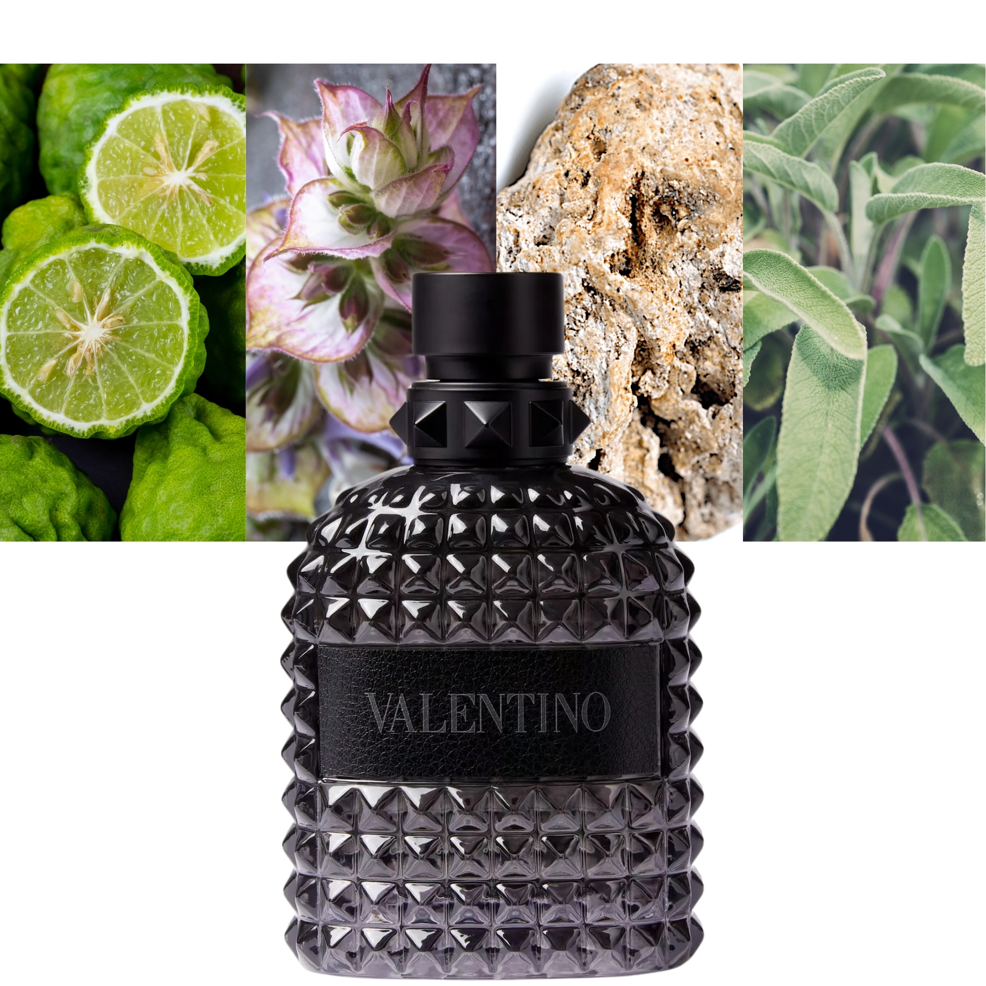 Born In Roma Rendez-Vous Rockstud