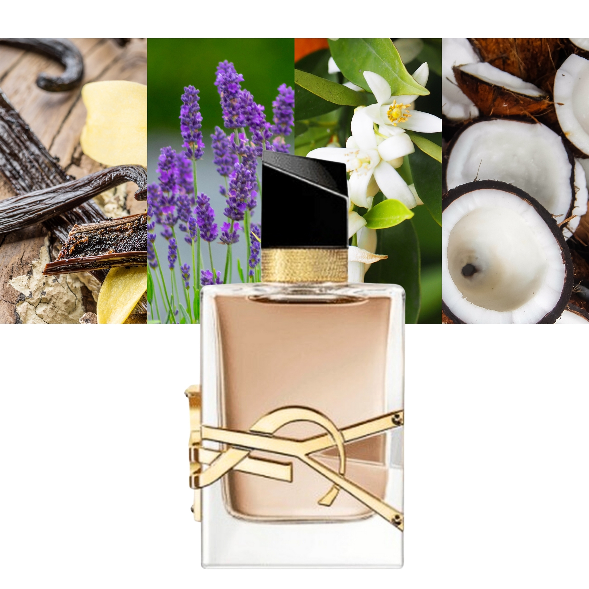 Libre Flowers and Flames