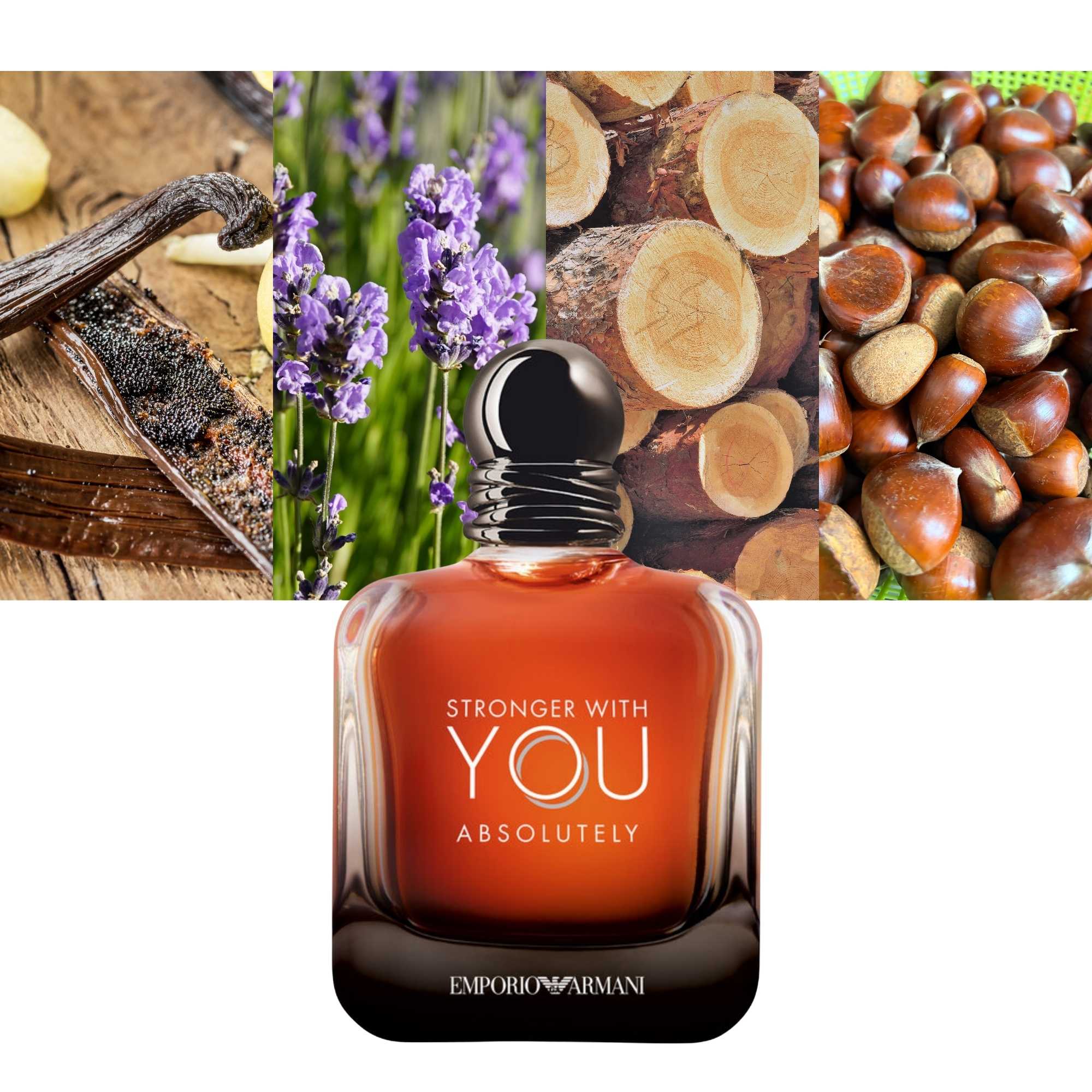 Stronger with You Absolutely