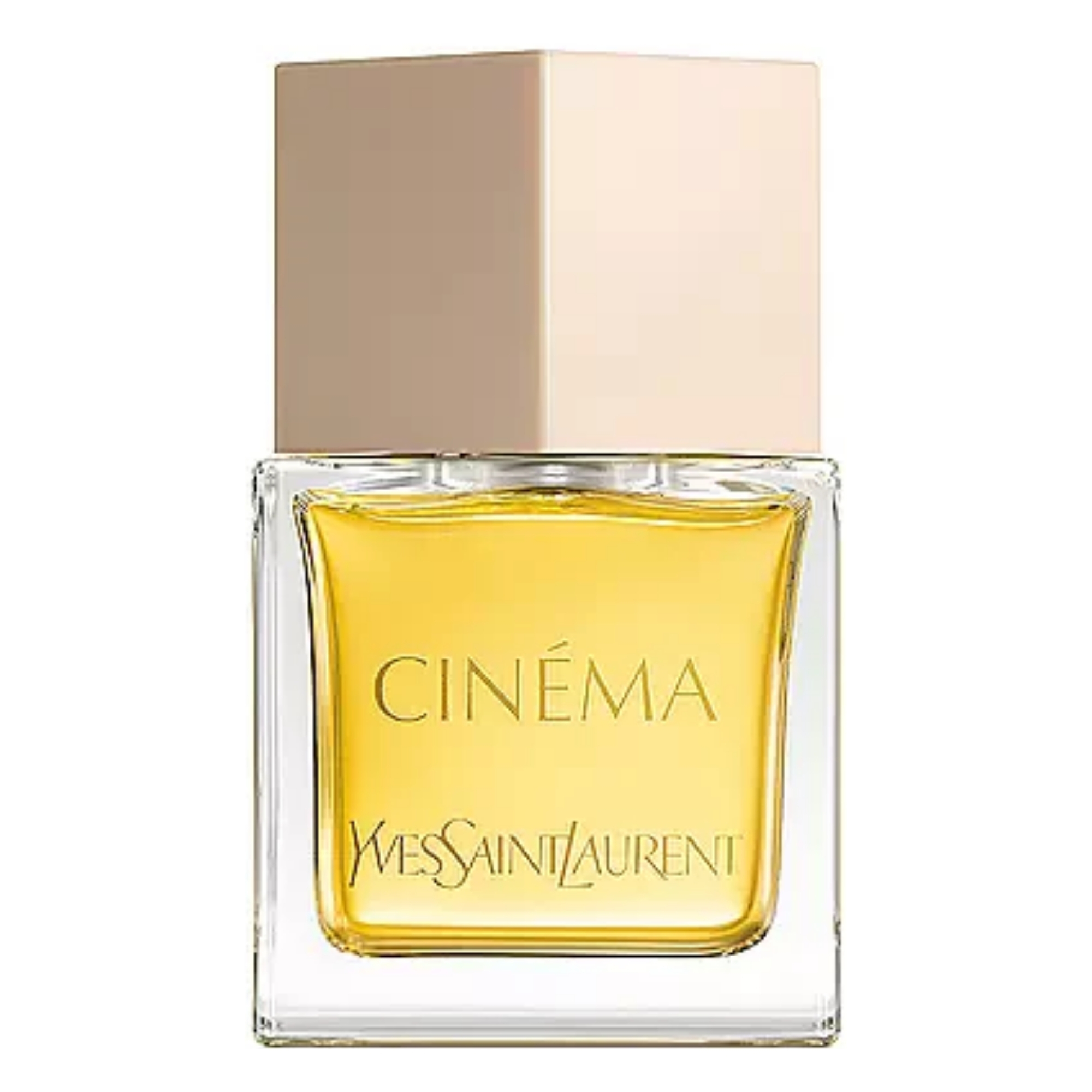 Yves Saint Laurent Cinema