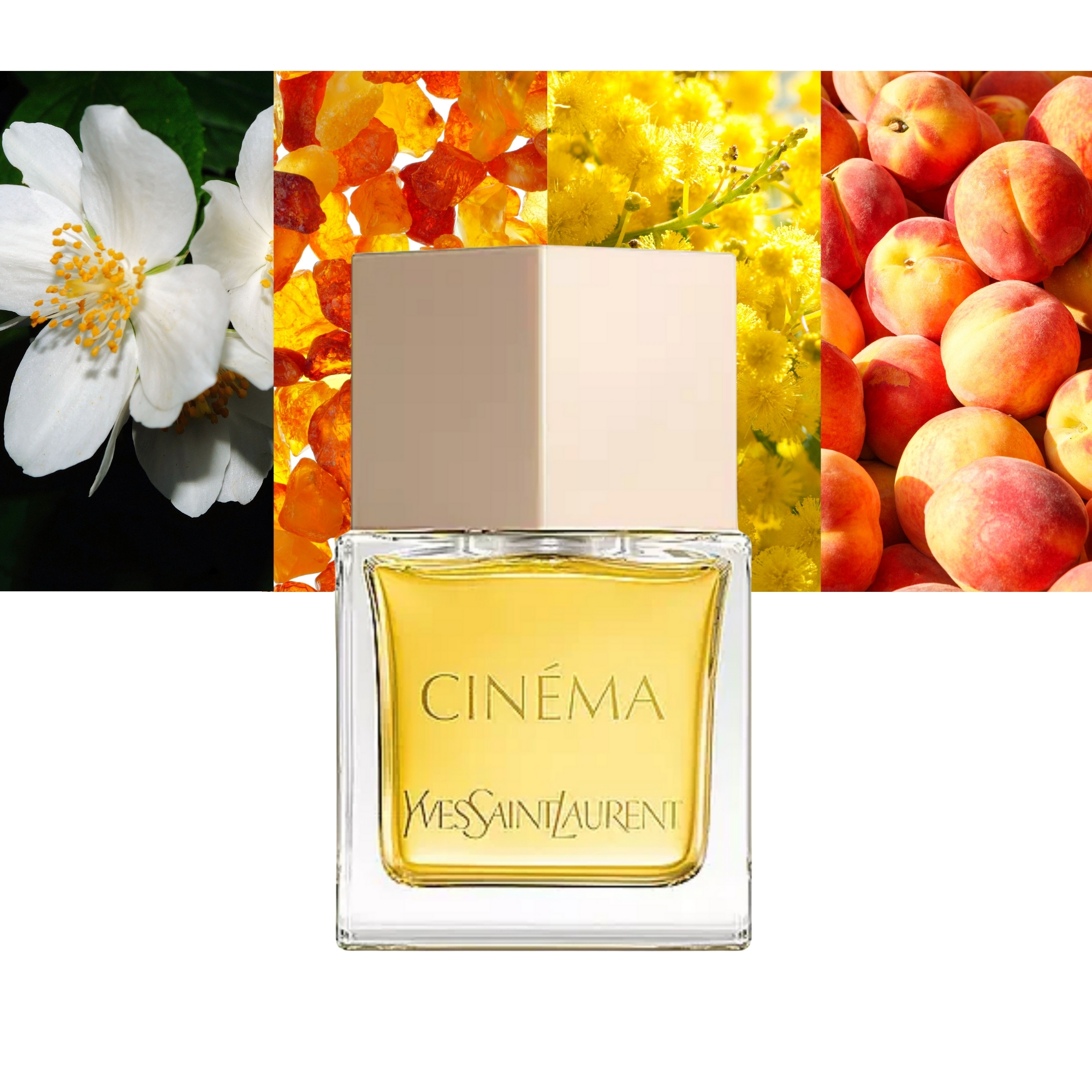 Cinema