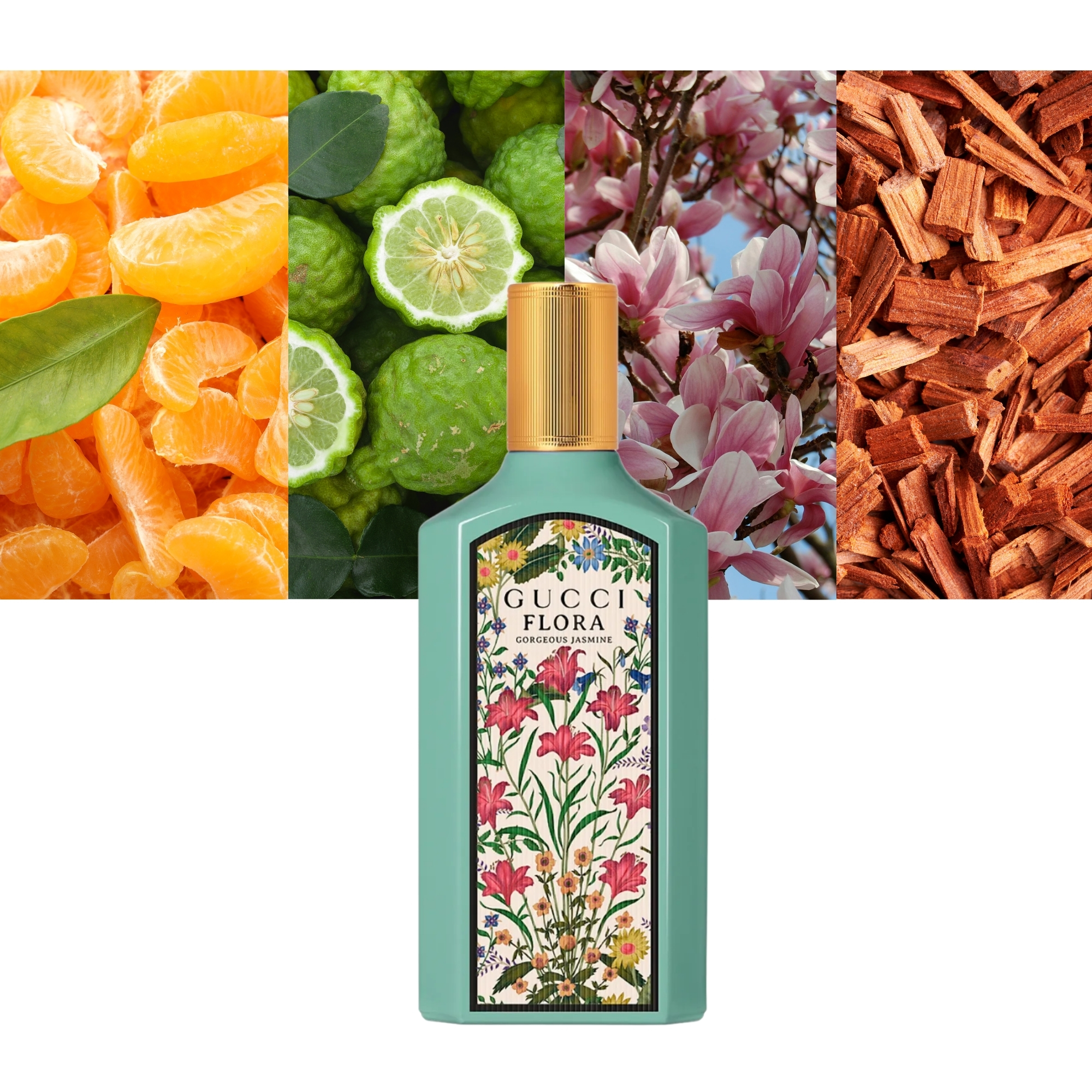 Flora Gorgeous Jasmine