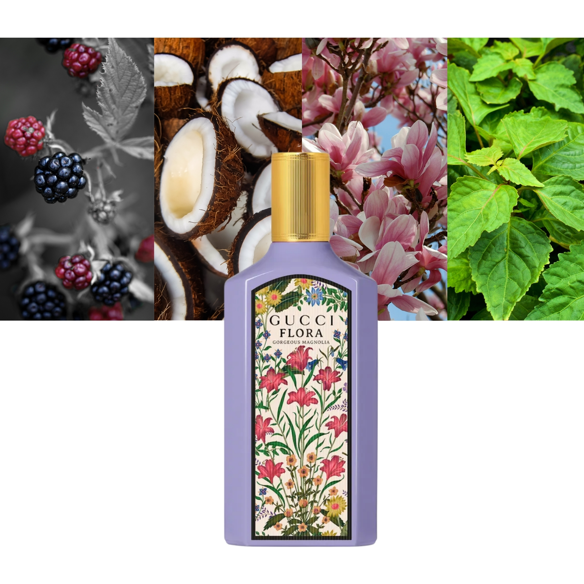 Flora Gorgeous Magnolia 