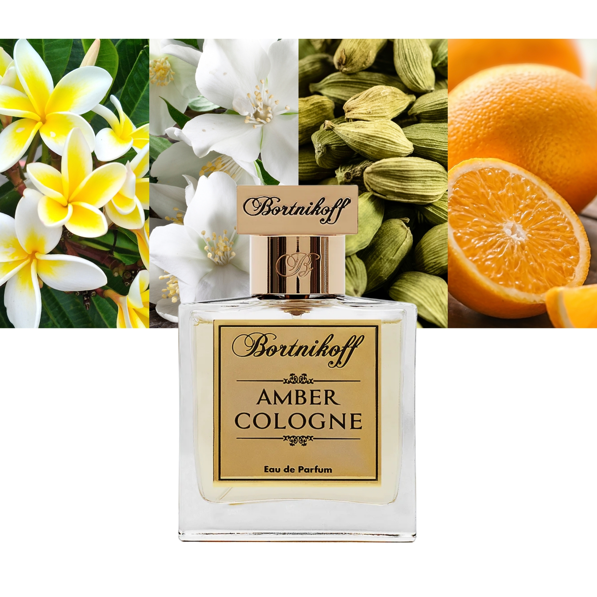 Amber Cologne