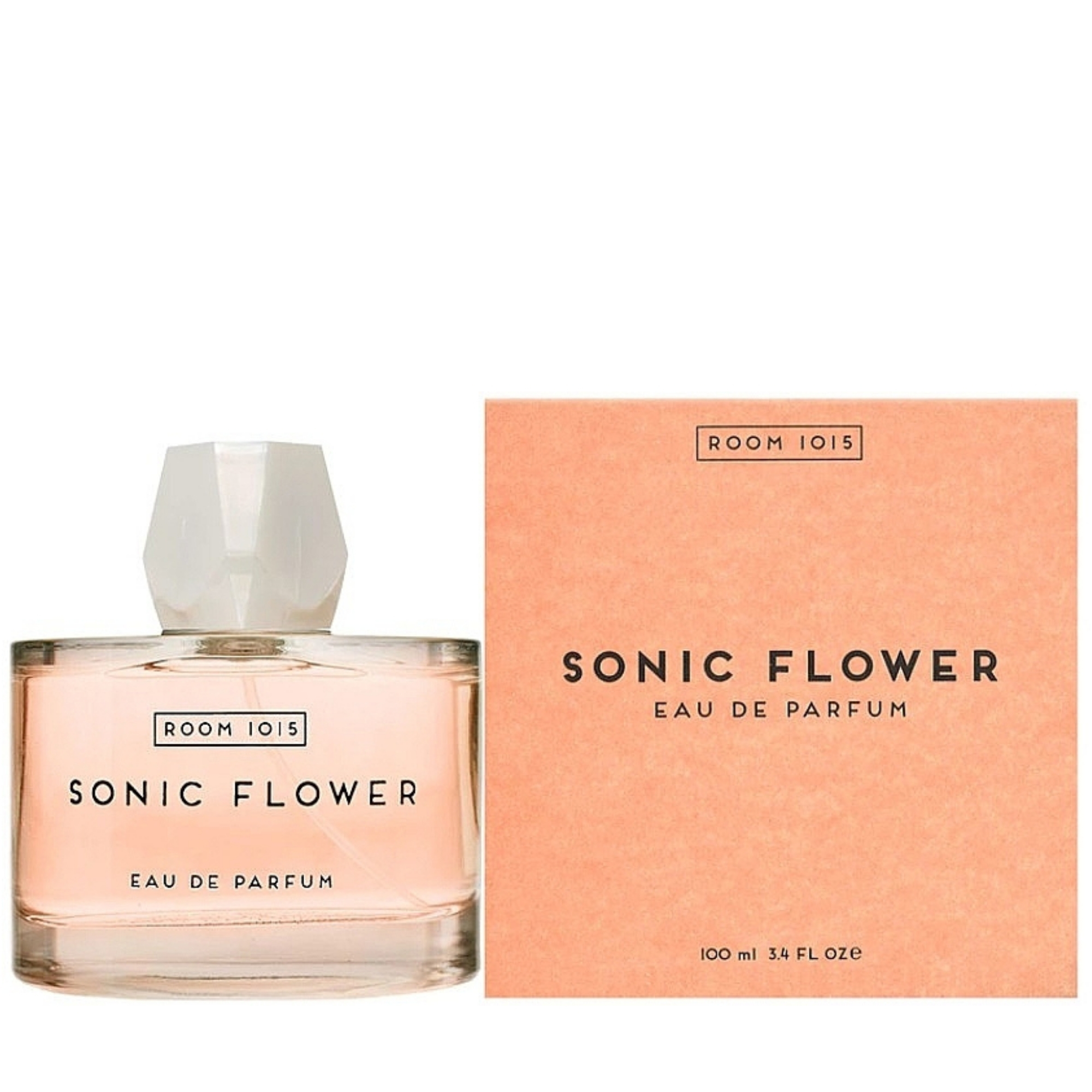 Delve into the Enchanting World of Room 1015 Sonic Flower