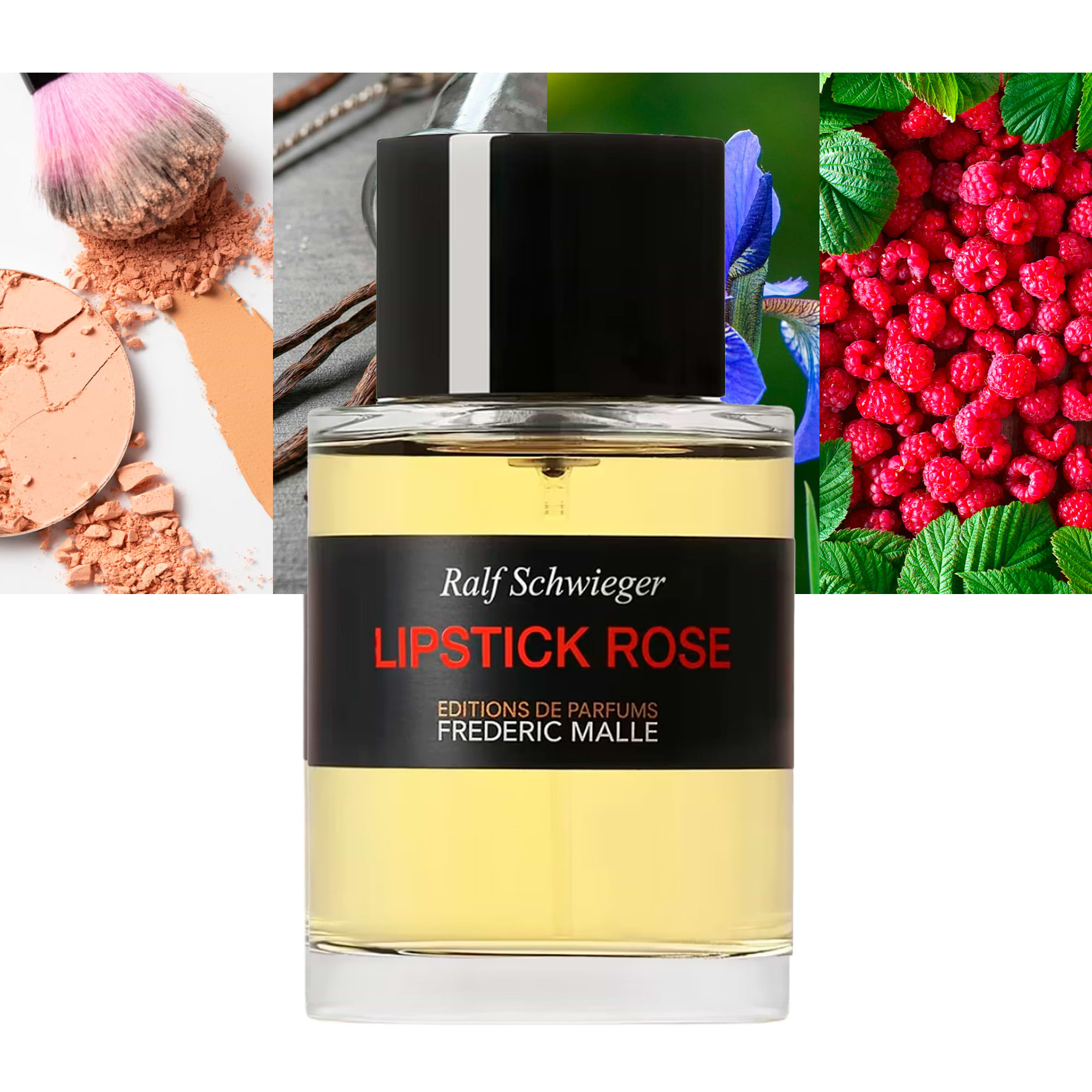 Lipstick Rose-The Must-Have Perfume for Modern Romantics