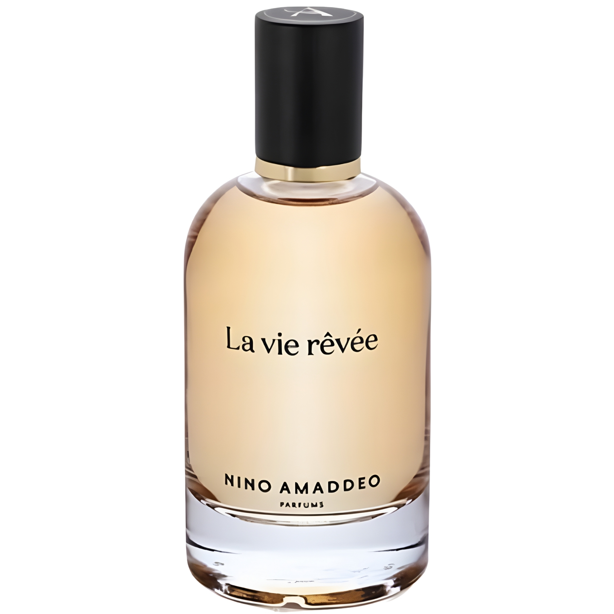 Nino Amaddeo La Vie Revee