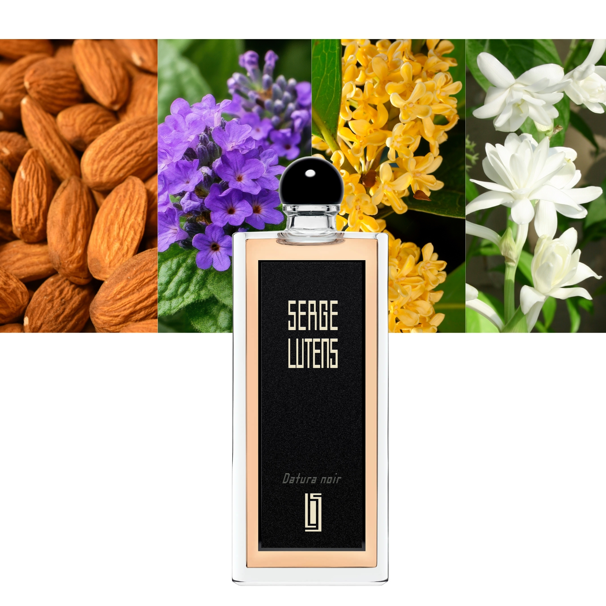 Serge Lutens Datura noir Perfume for Women EDP 3.4oz|MaxAroma.com