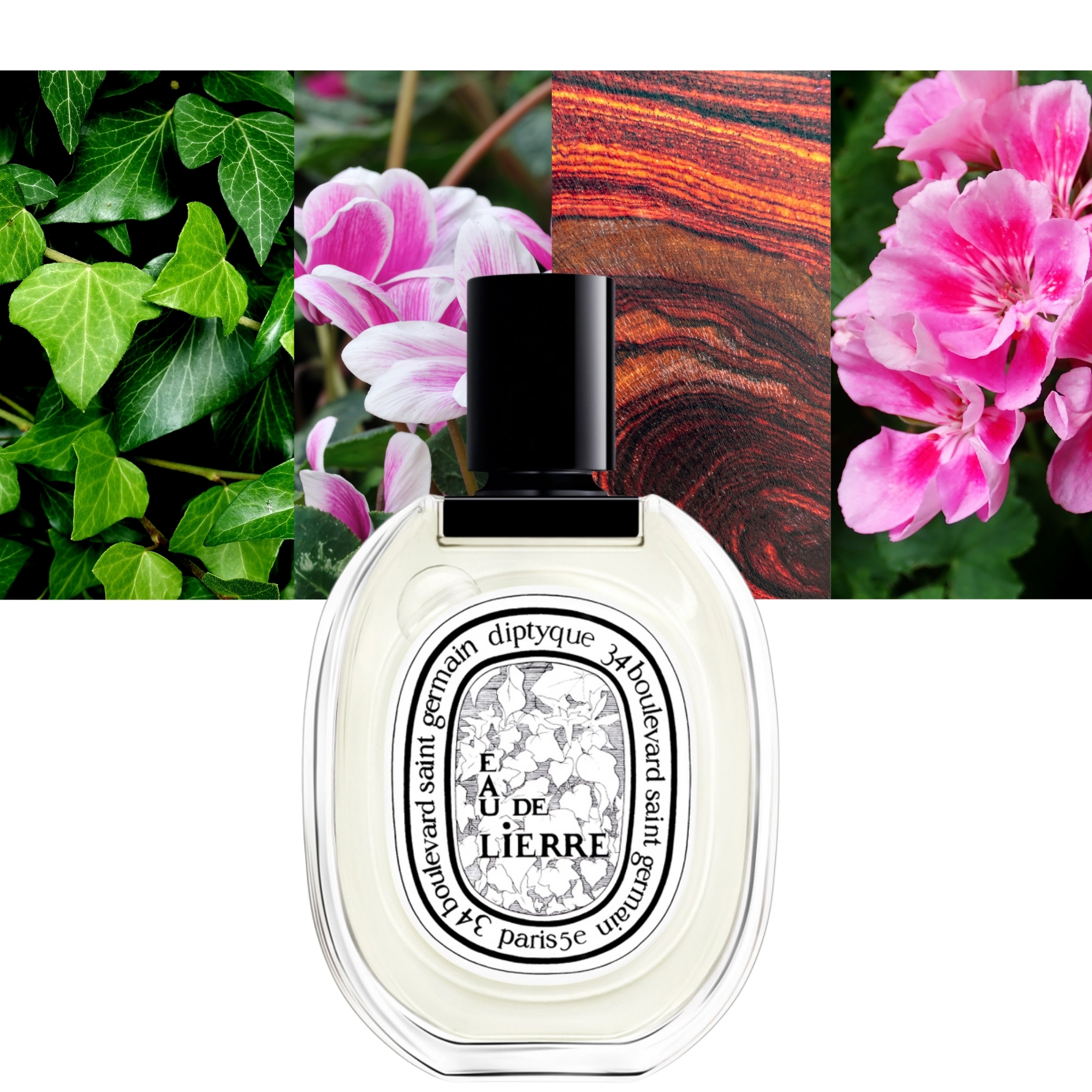Eau de Lierre 