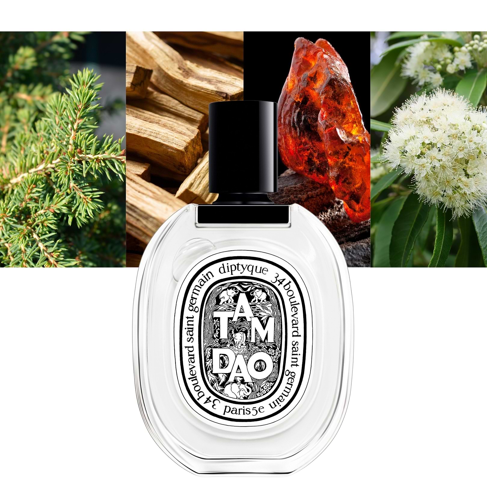 Diptyque Tam Dao 3.4 oz 100ml Unisex| MaxAroma.com