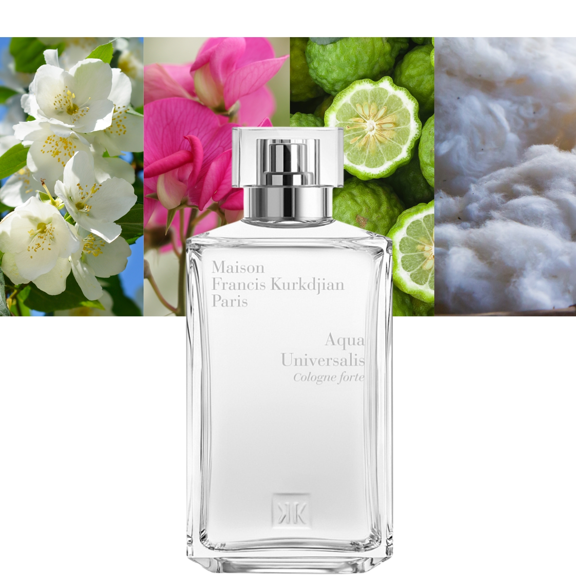 Aqua Universalis Cologne forte