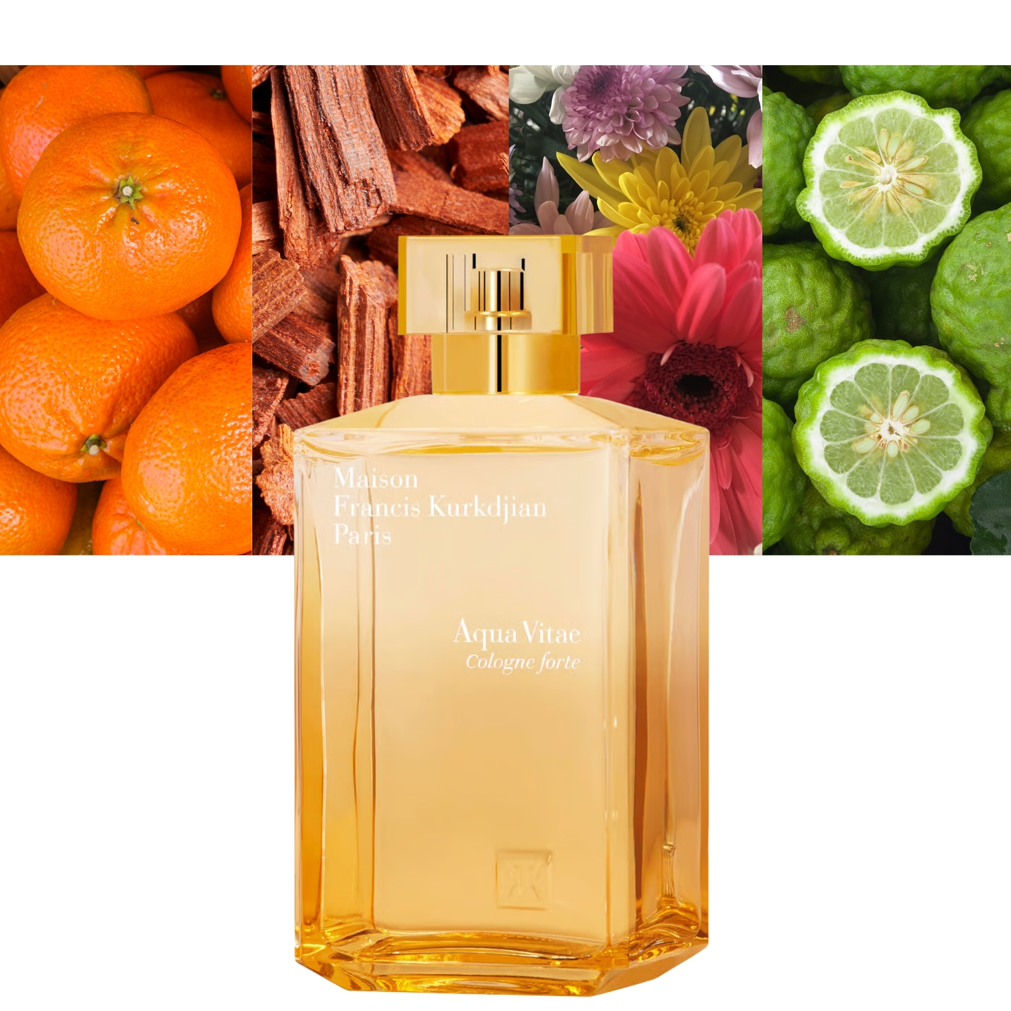 Aqua Vitae Cologne forte