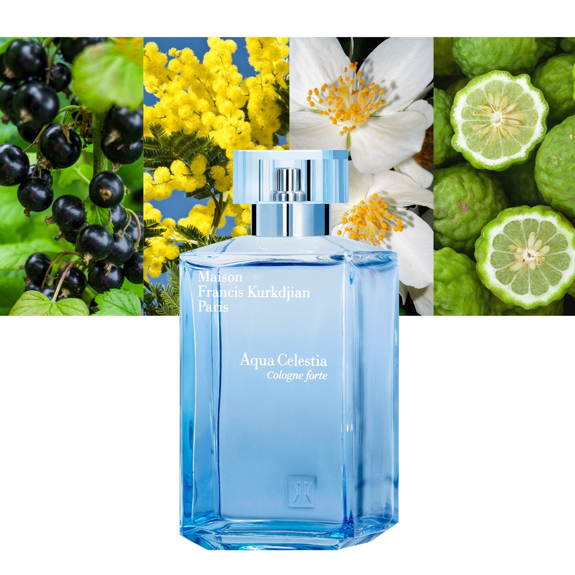 Aqua Celestia Cologne forte