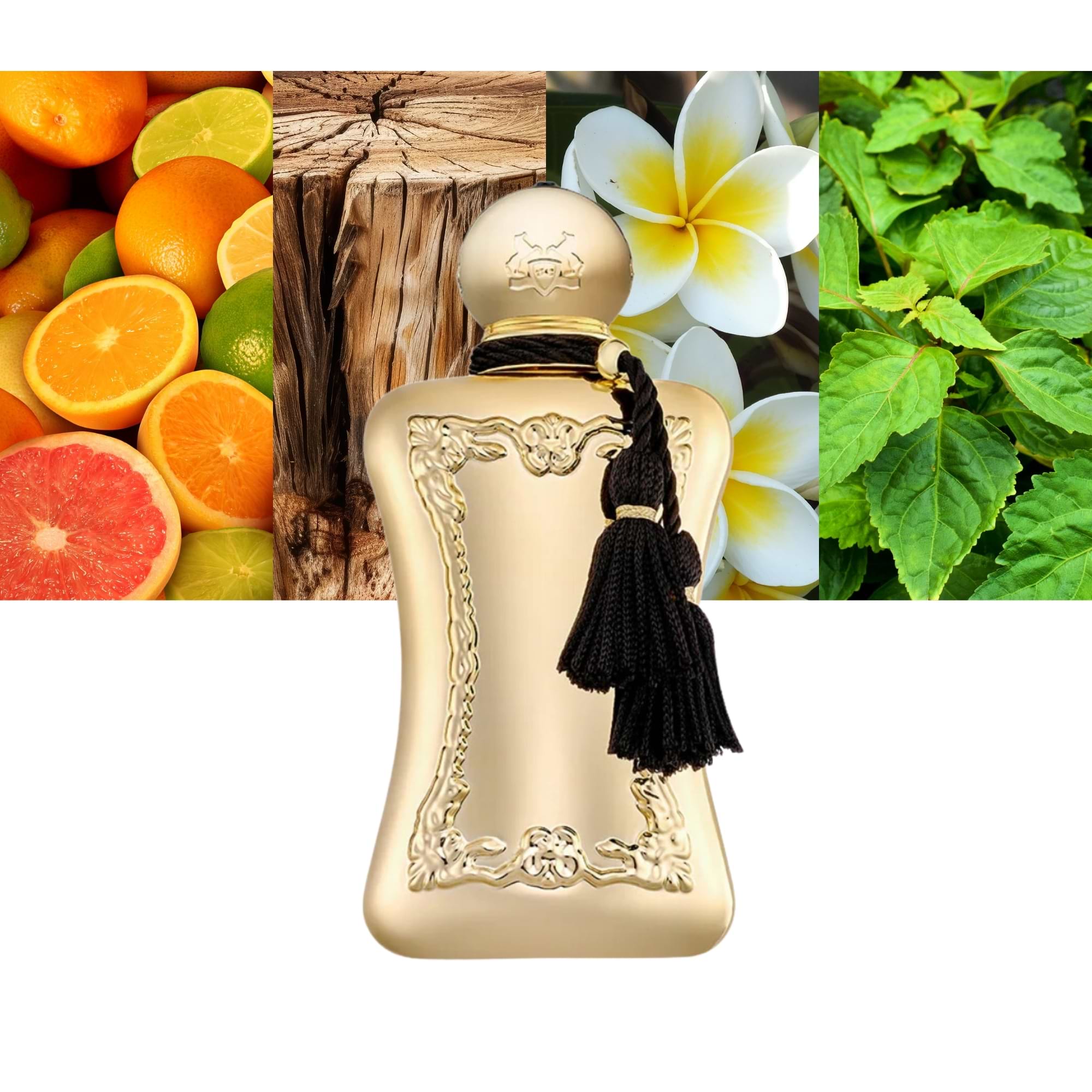 Parfums De Marly Darcy-A Fragrance Journey Worth Taking