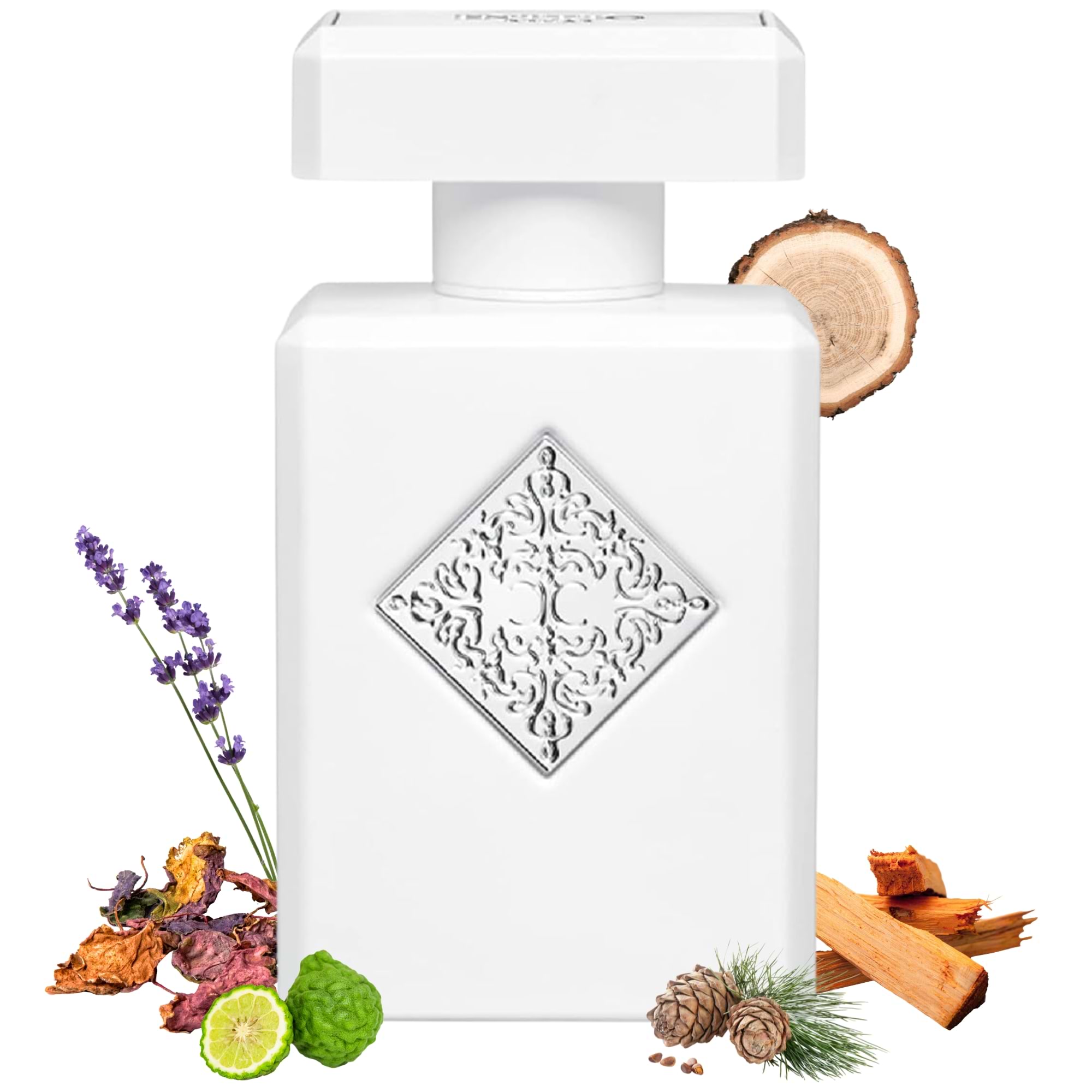 Embark on a Journey of Healing Transformation with Initio Rehab