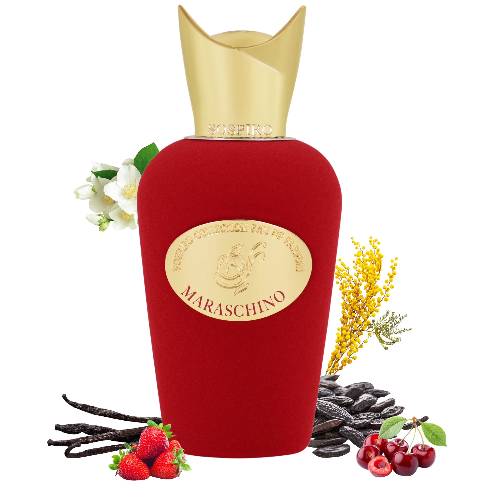 Maraschino