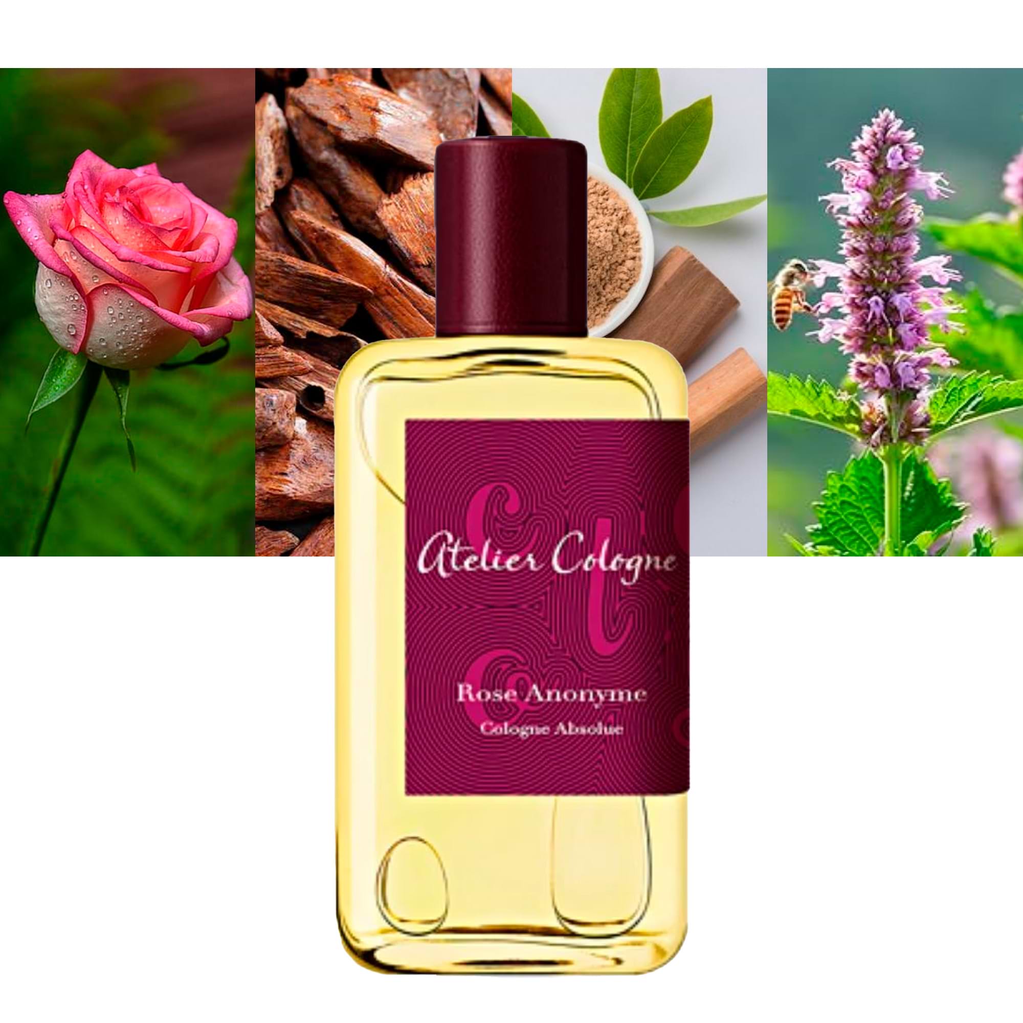 未使用⭐️Atelier Cologne Rose Anonyme 香水 30ml Amazon.com : Atelier Cologne Eau de Parfum, Rose Anonyme, 30