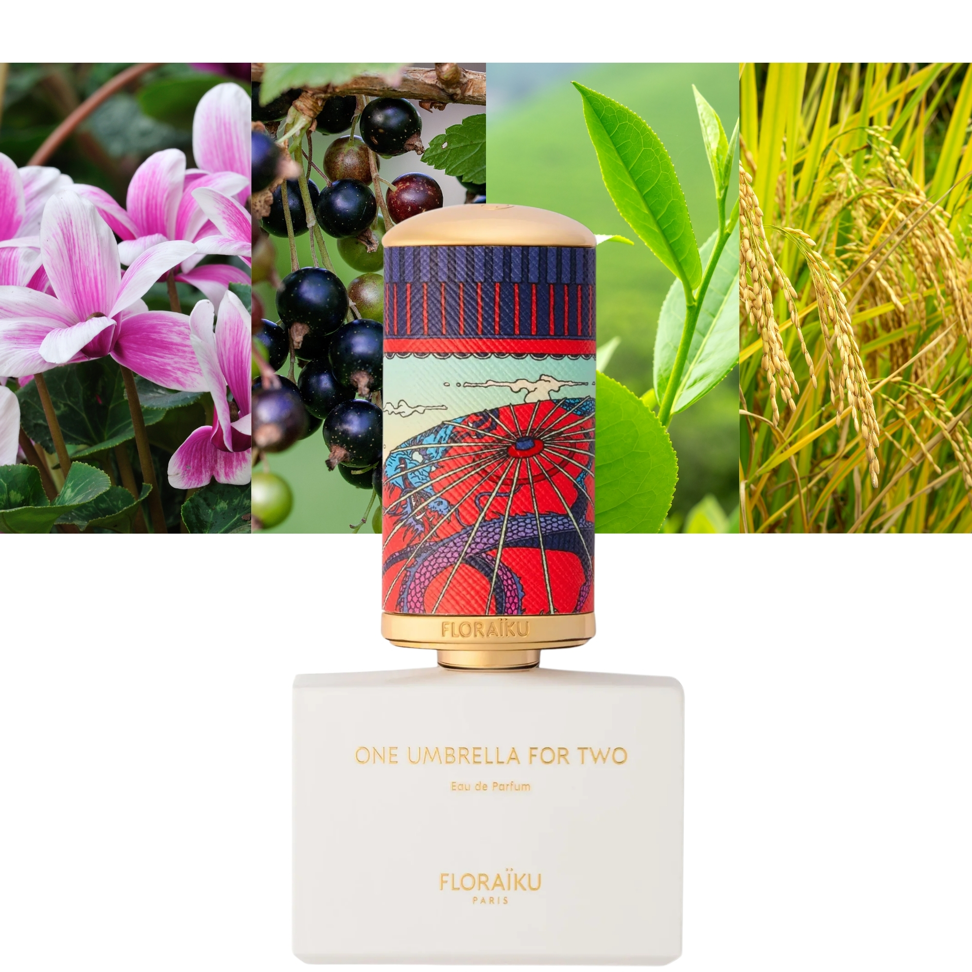 One Umbrella For Two