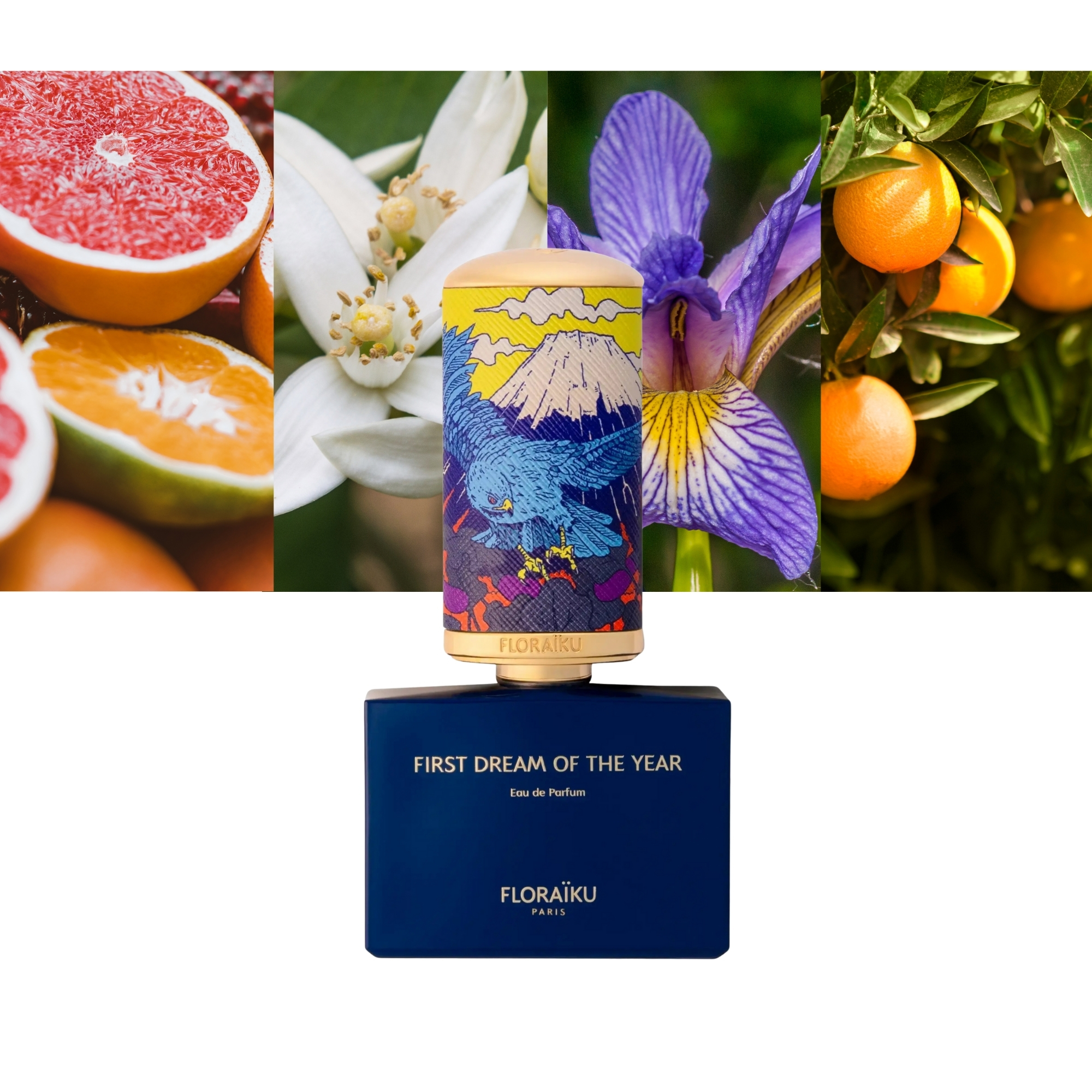 First Dream of The Year