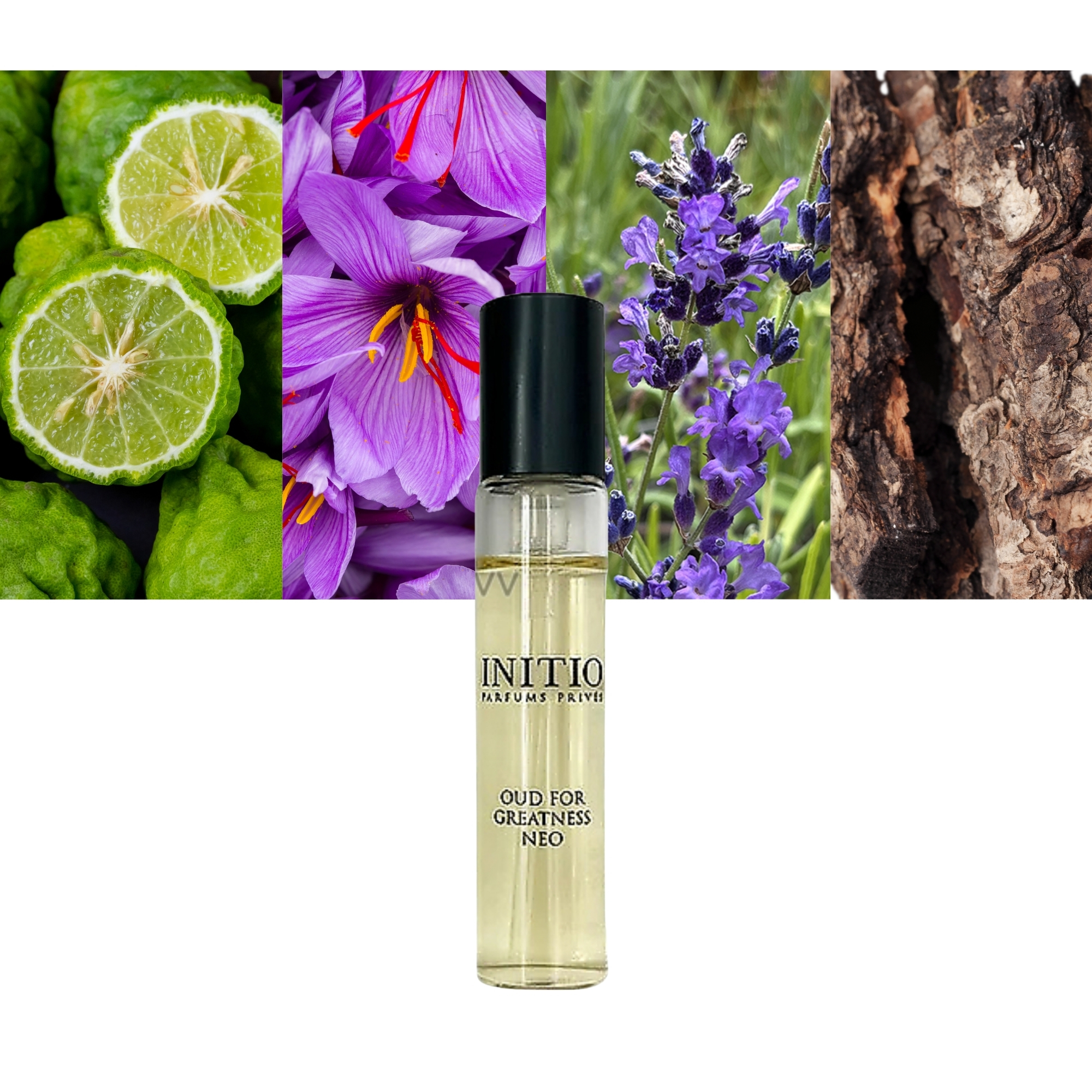 Oud For Greatness Neo