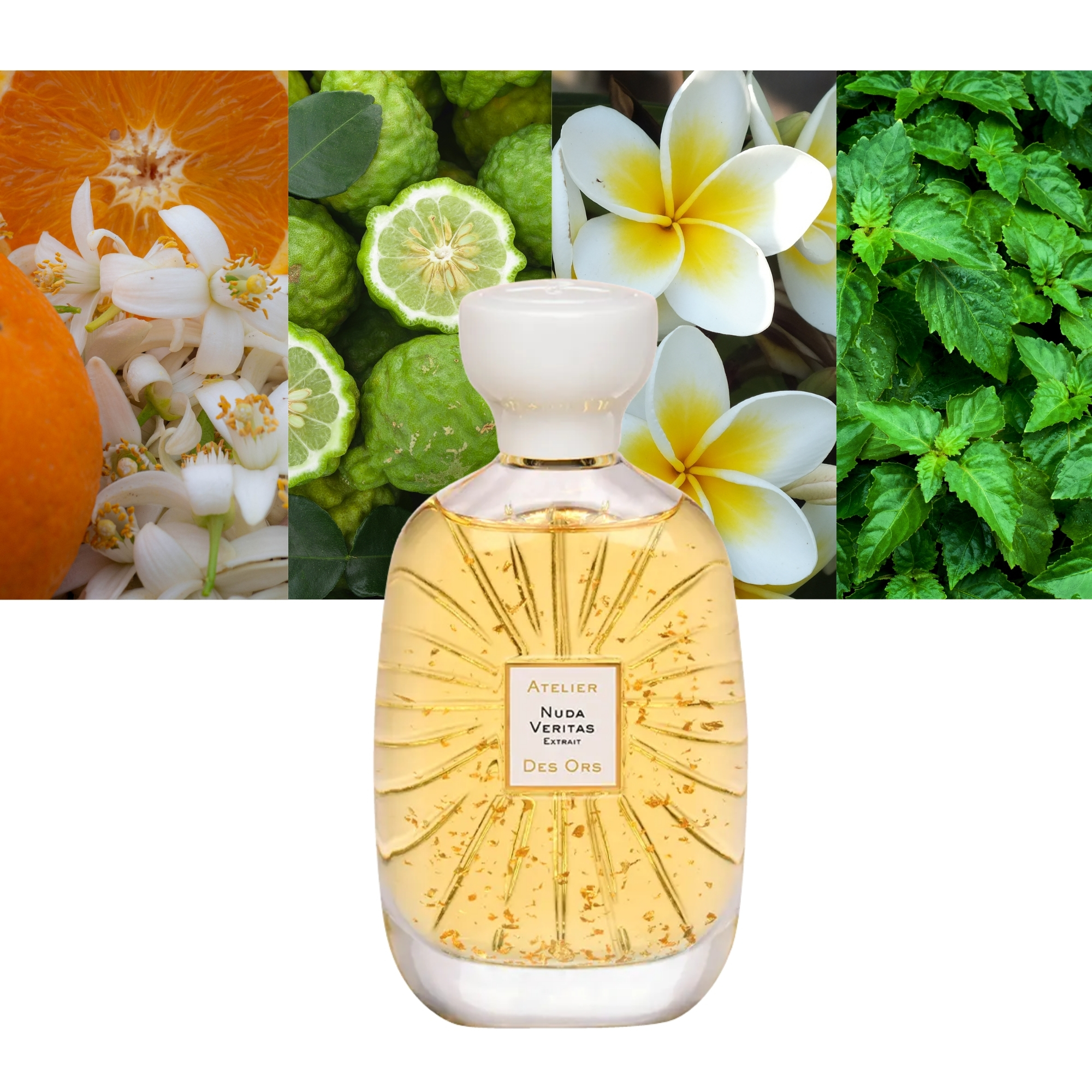 Nuda Veritas Limited Edition