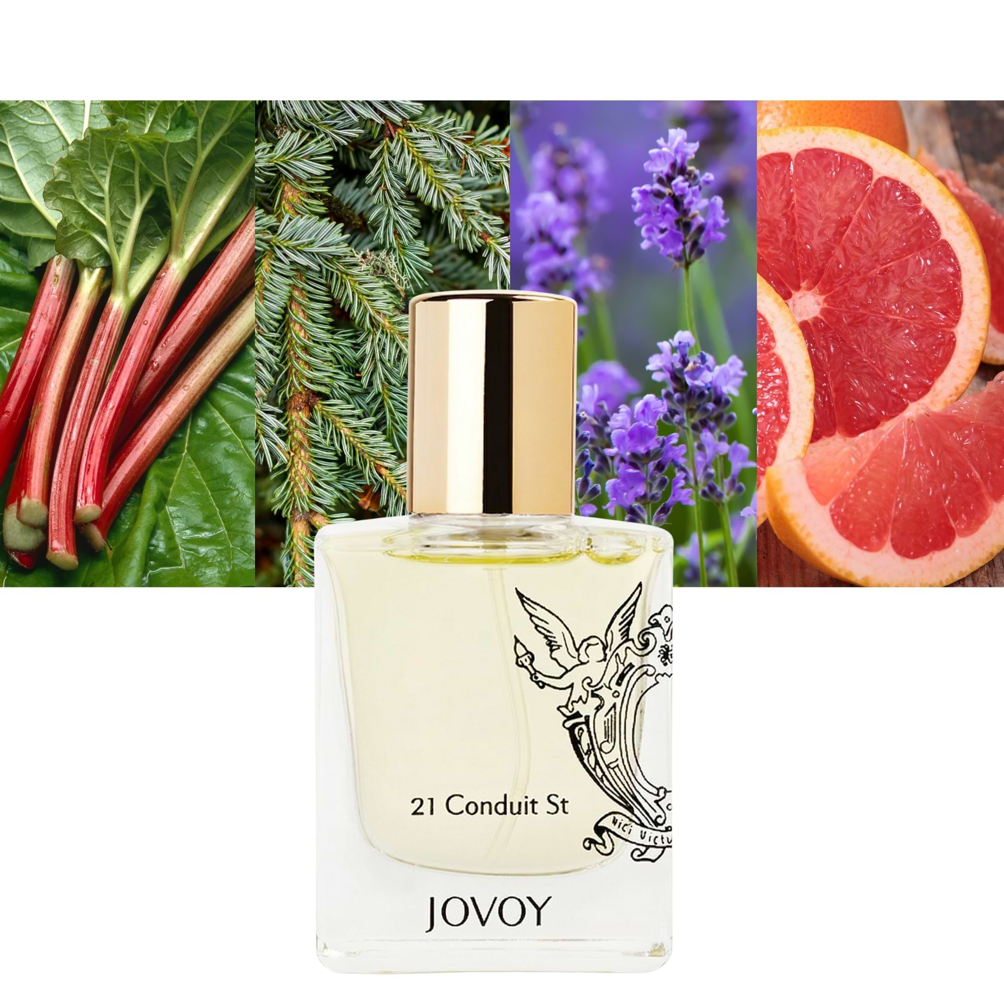 21 Conduit St