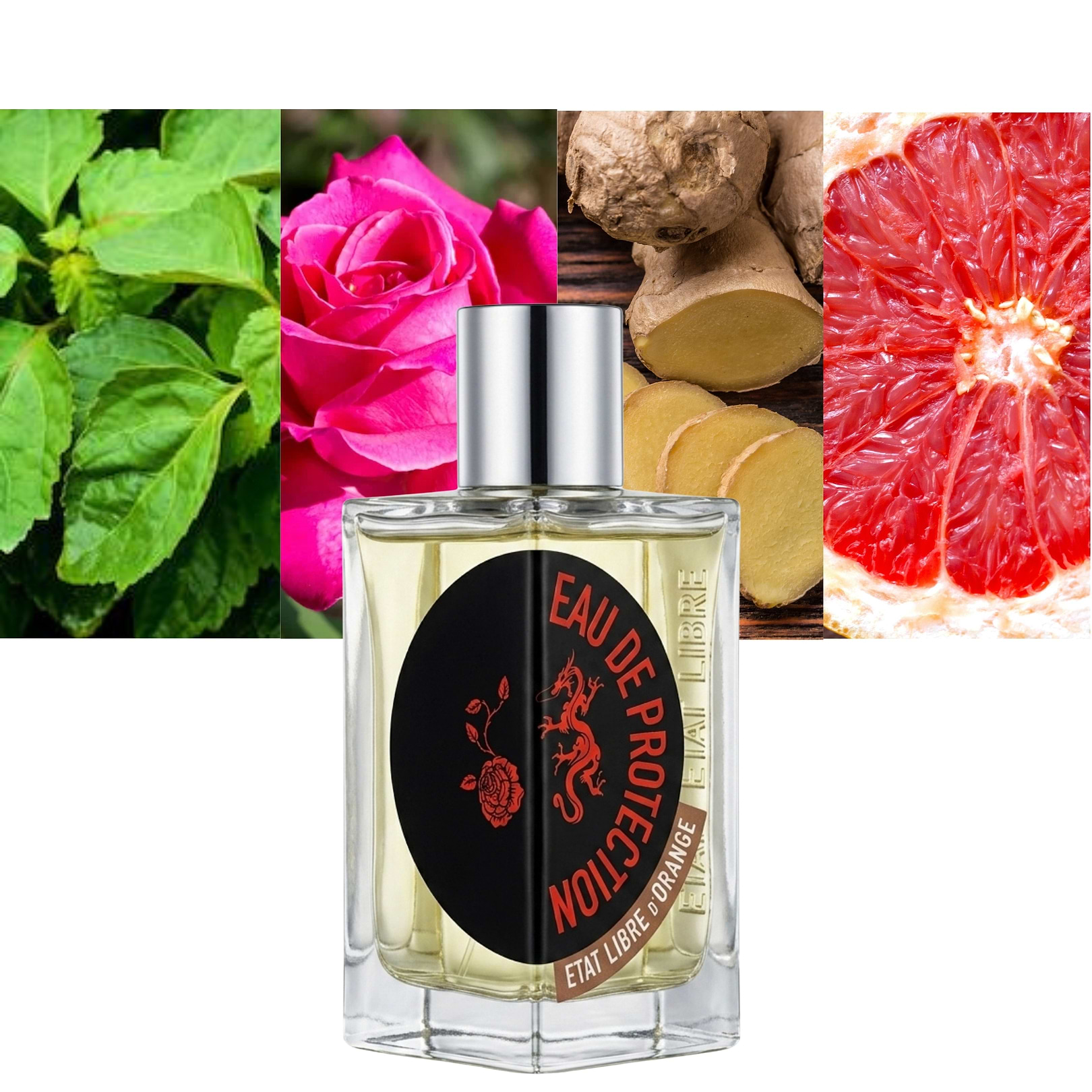 EAU DE PROTECTION