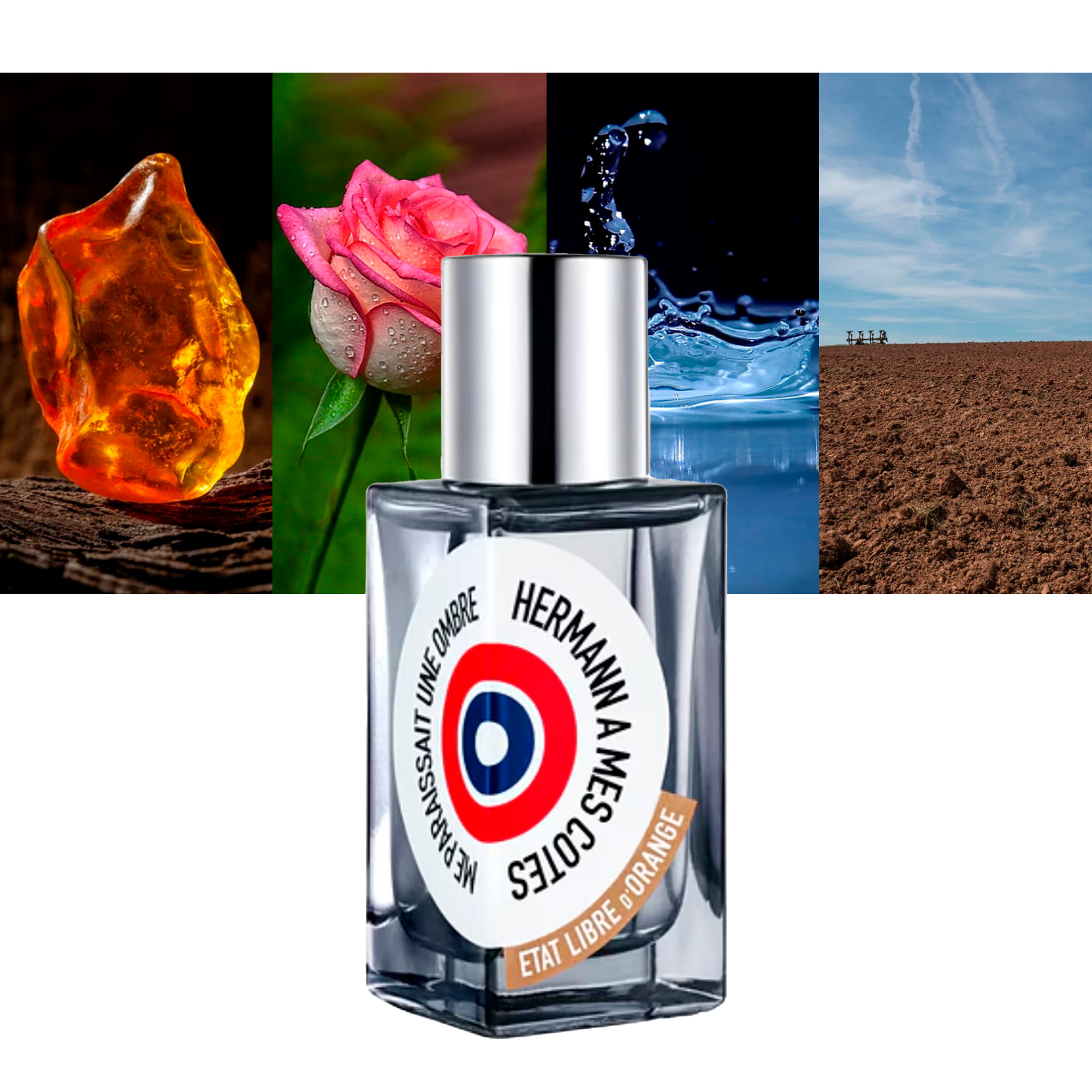 Hermann A Mes Cotes me Paraissait une Ombre