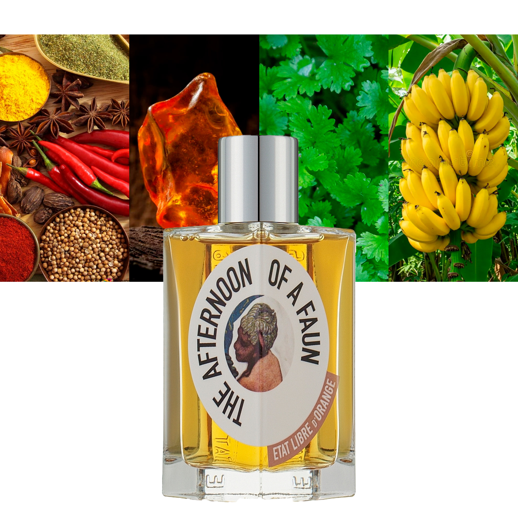 The Afternoon of a Faun