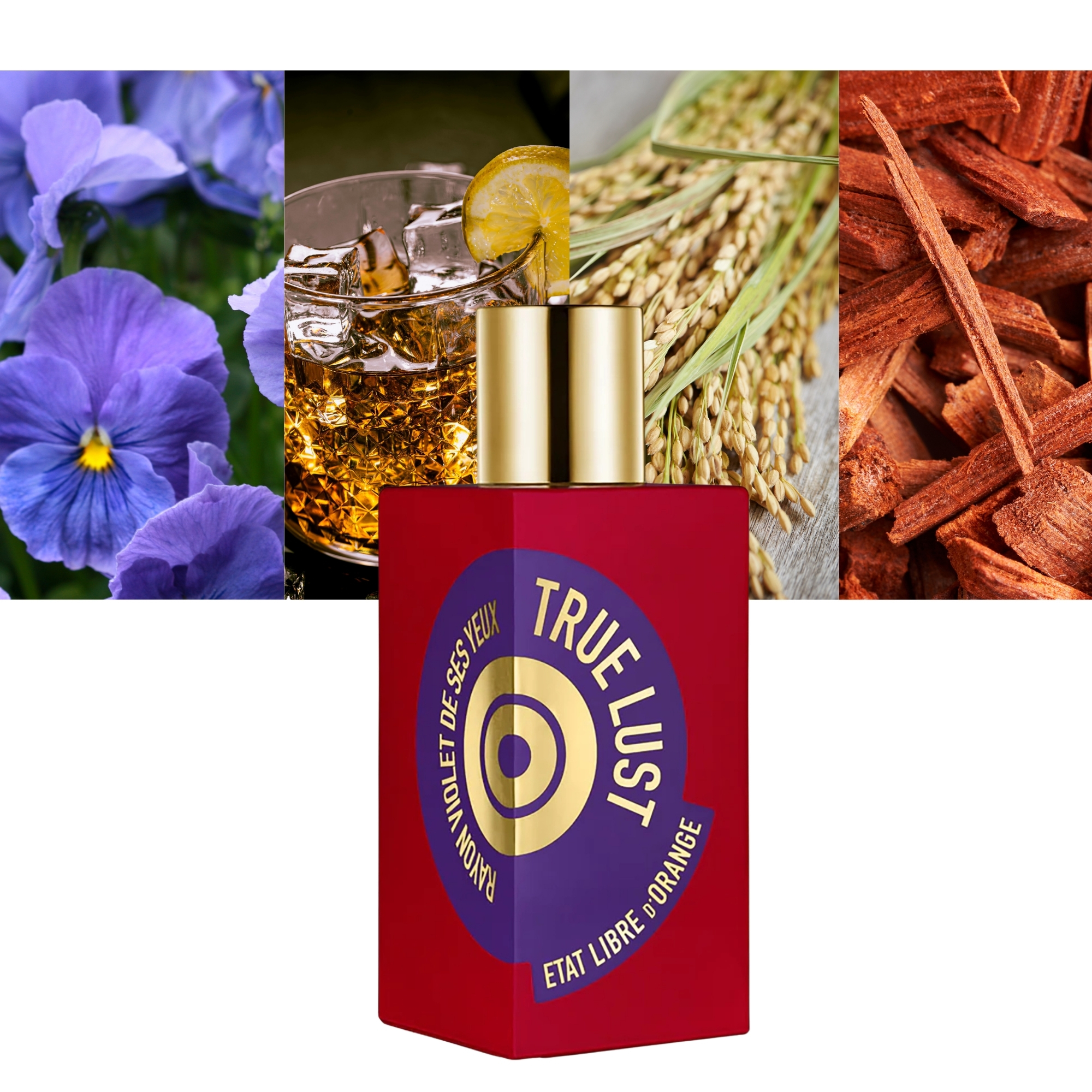 True Lust Rayon Violet de Ses Yeux 