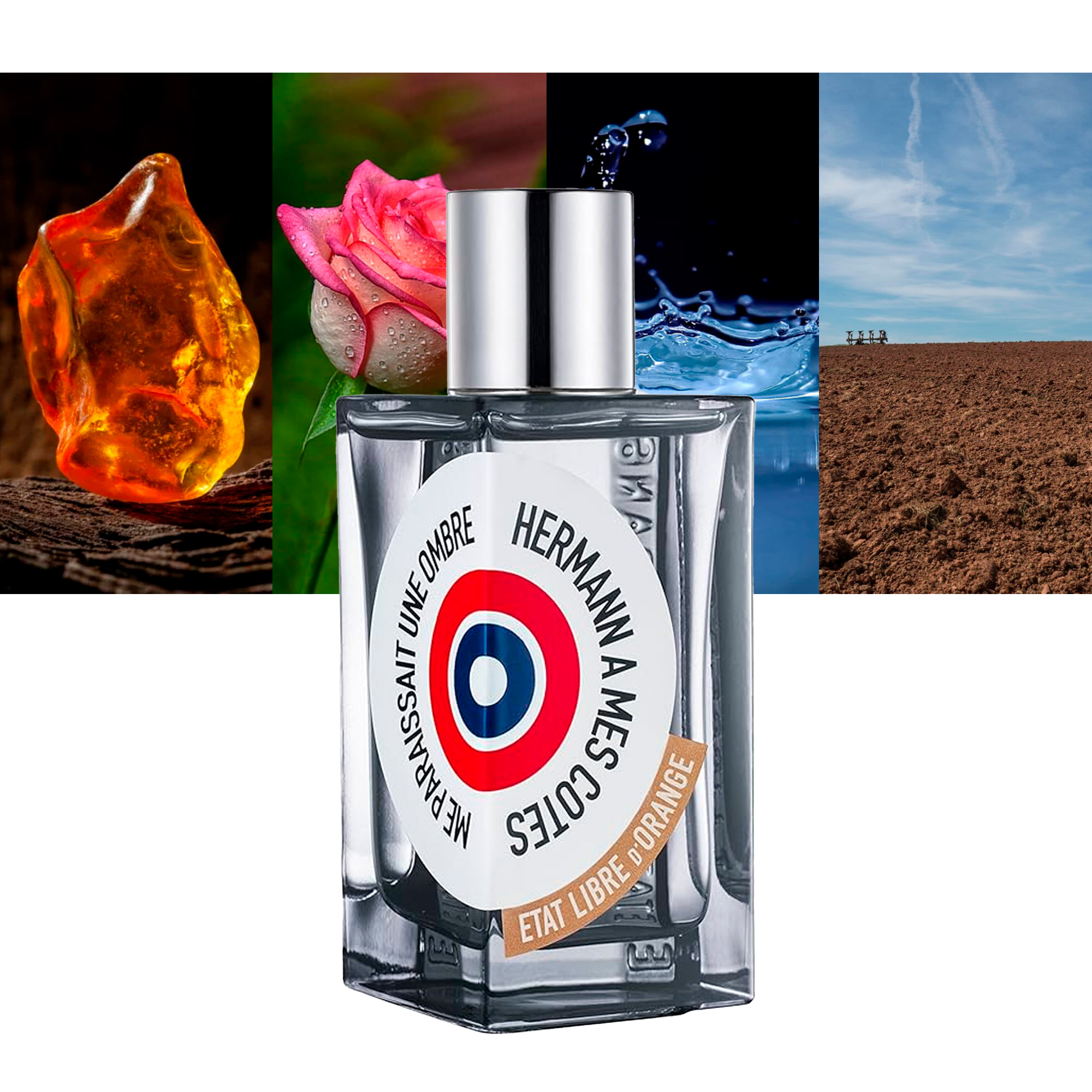 Hermann A Mes Cotes me Paraissait une Ombre