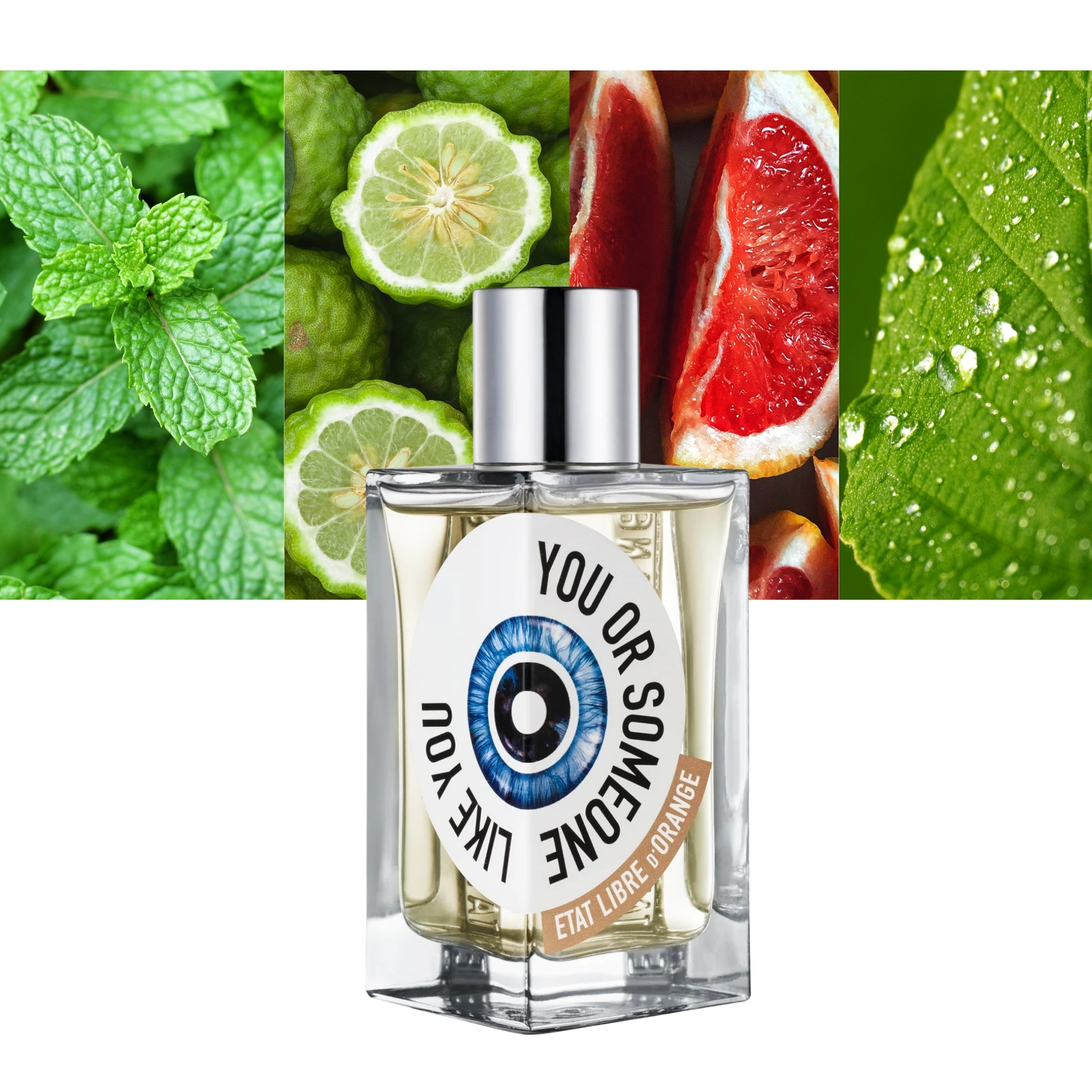 You Or- Someone Like You