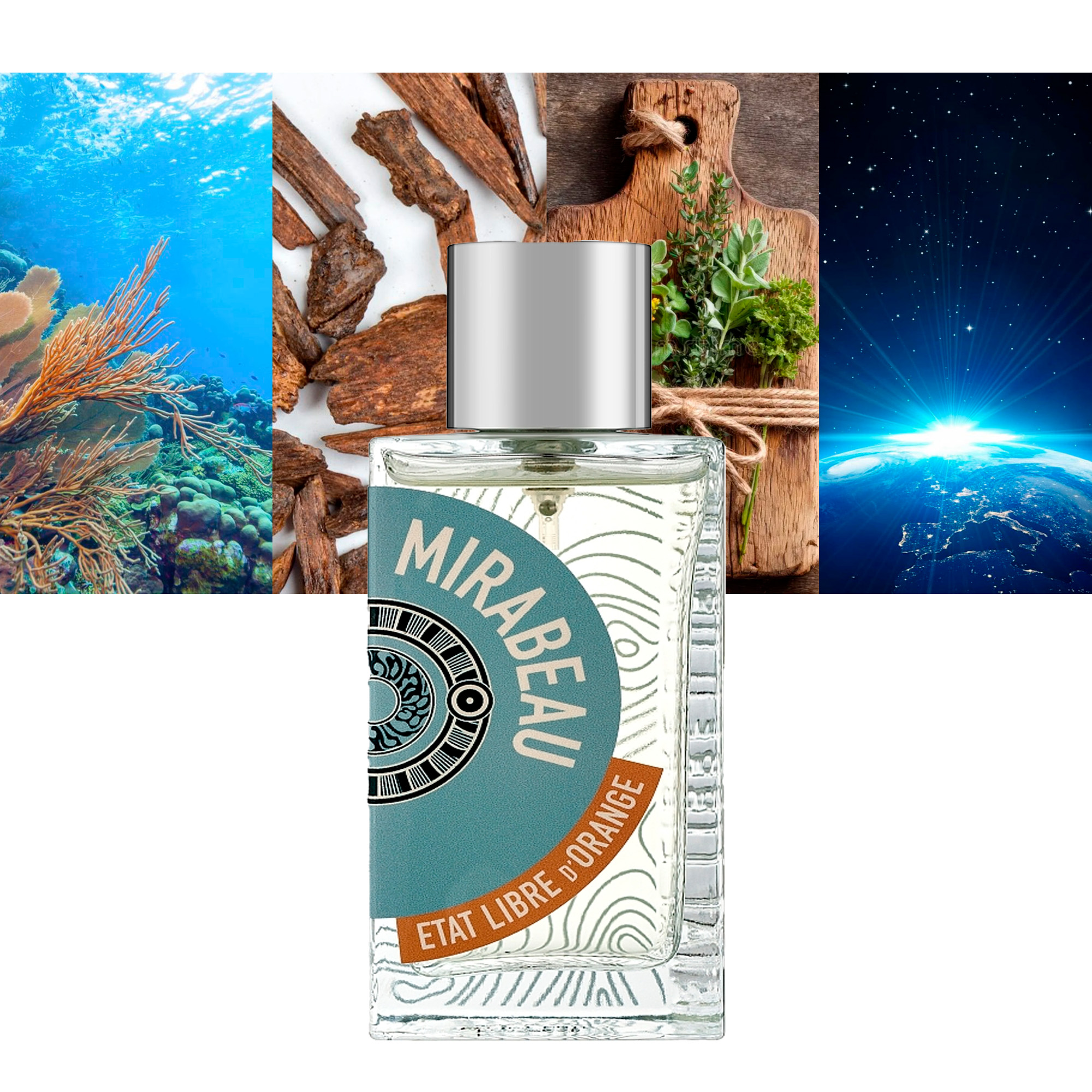 Sous Le Pont Mirabeau