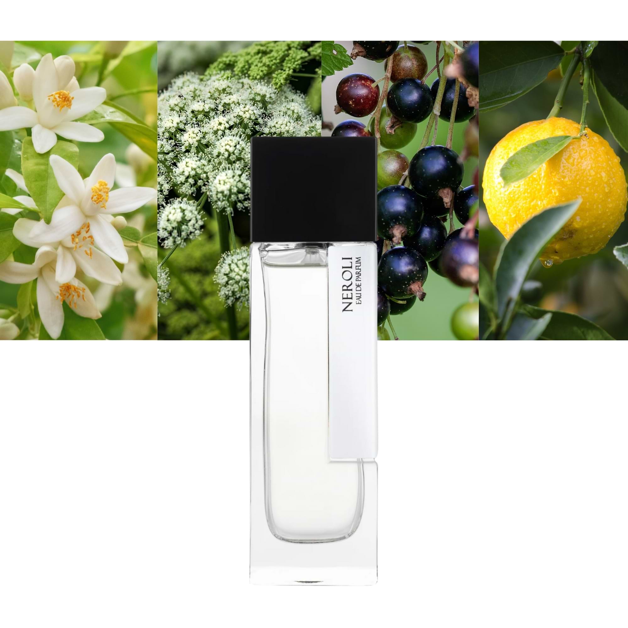 Neroli